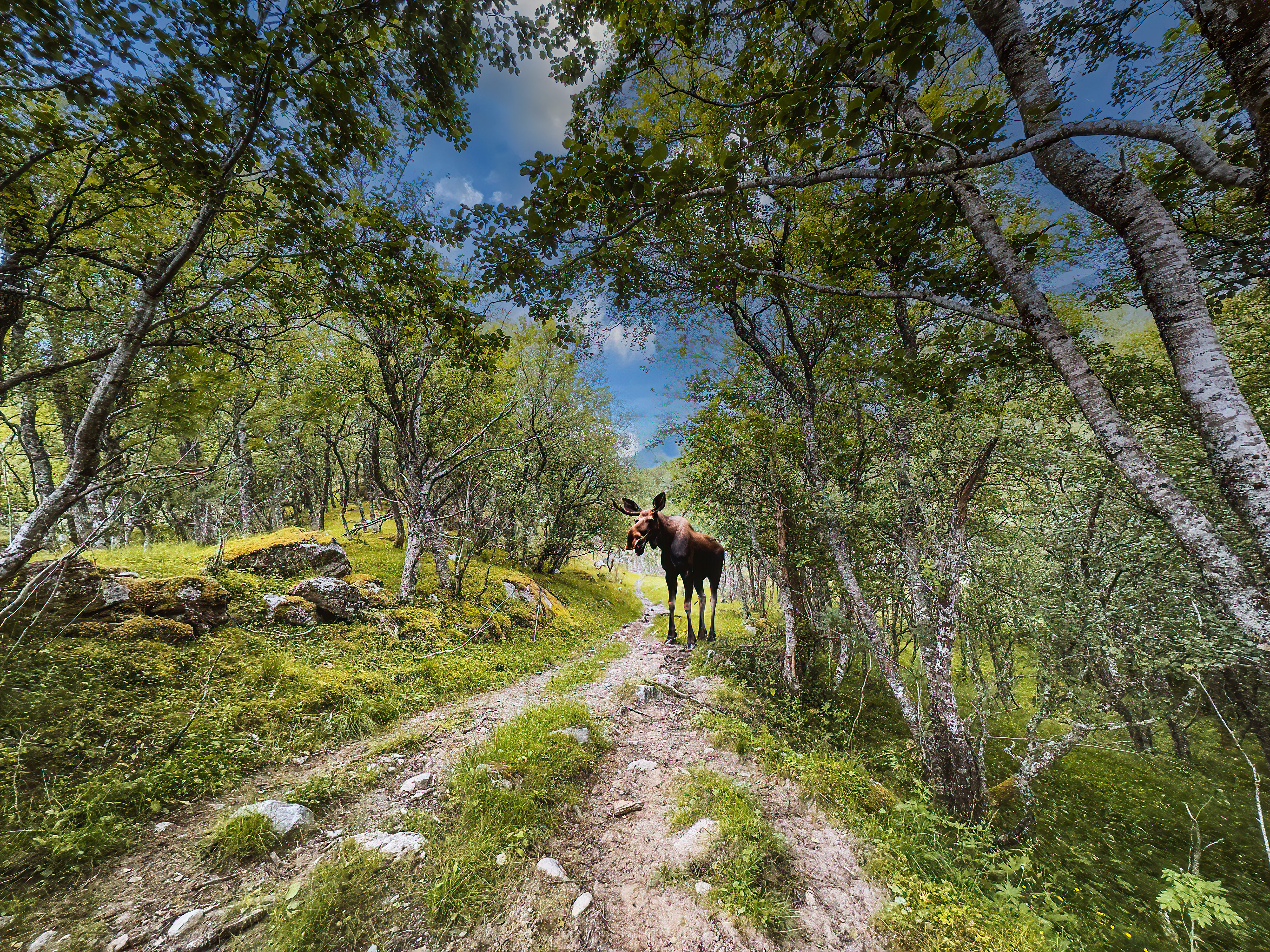 Vakkerdal, Alstahaug, Norway
