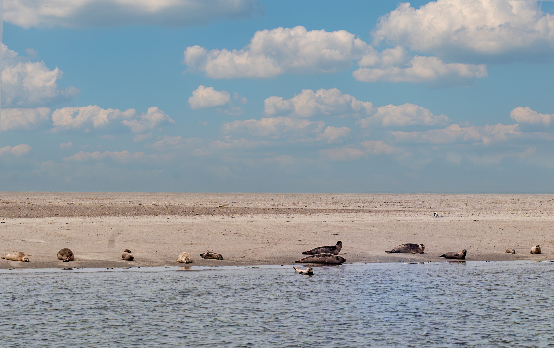Northern Sea, Germany
