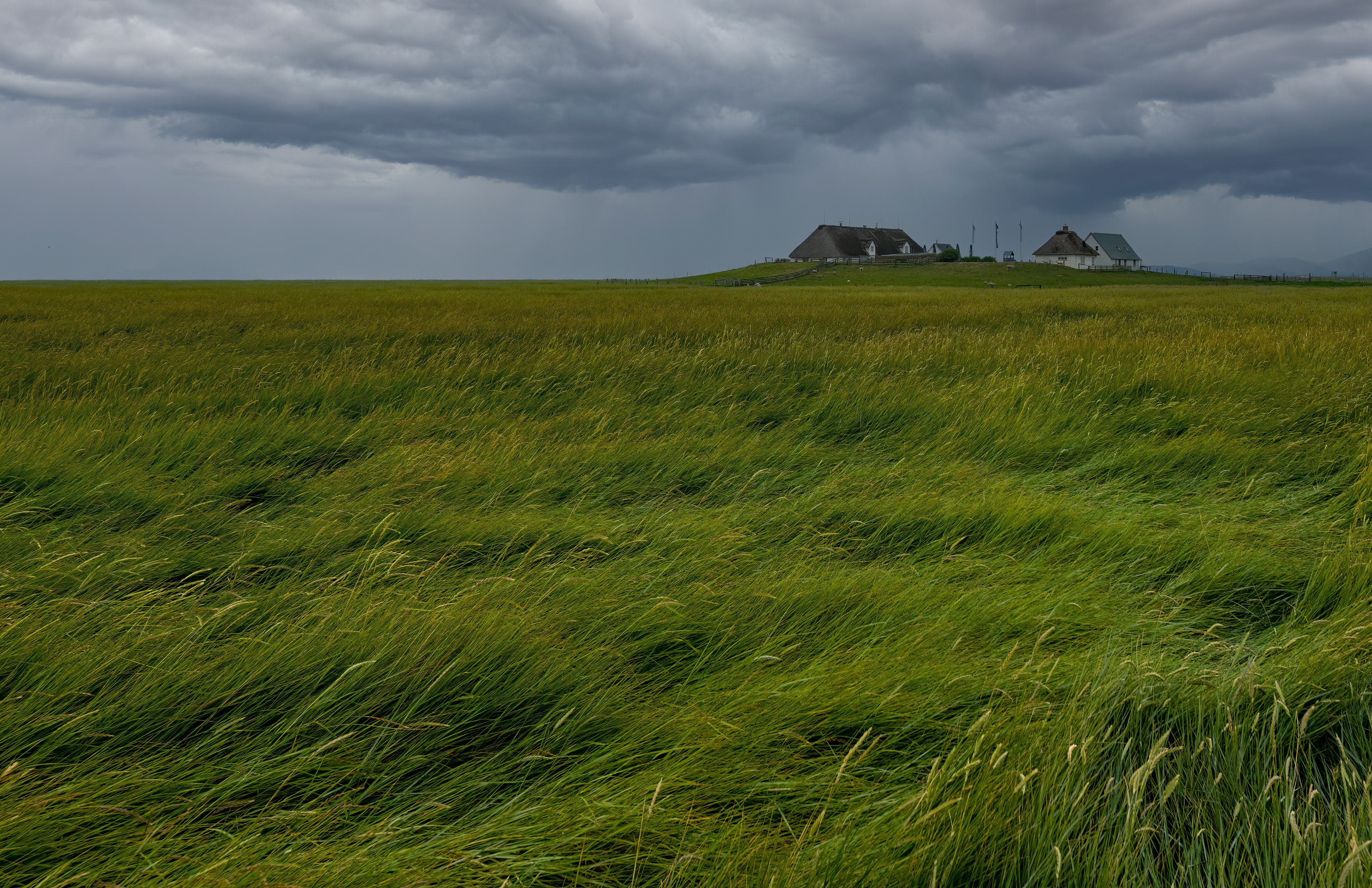 Northern Sea, Germany