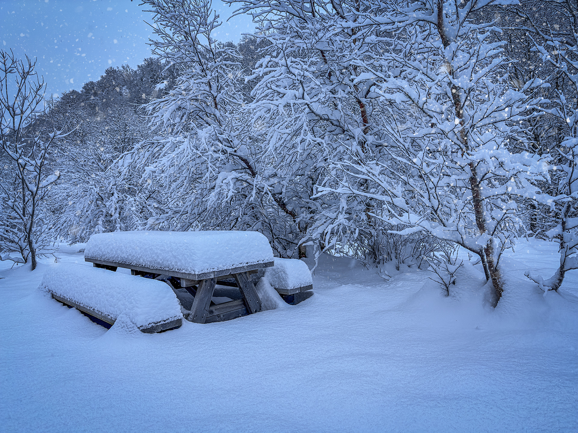 Coffeebreak in Vakkerdal