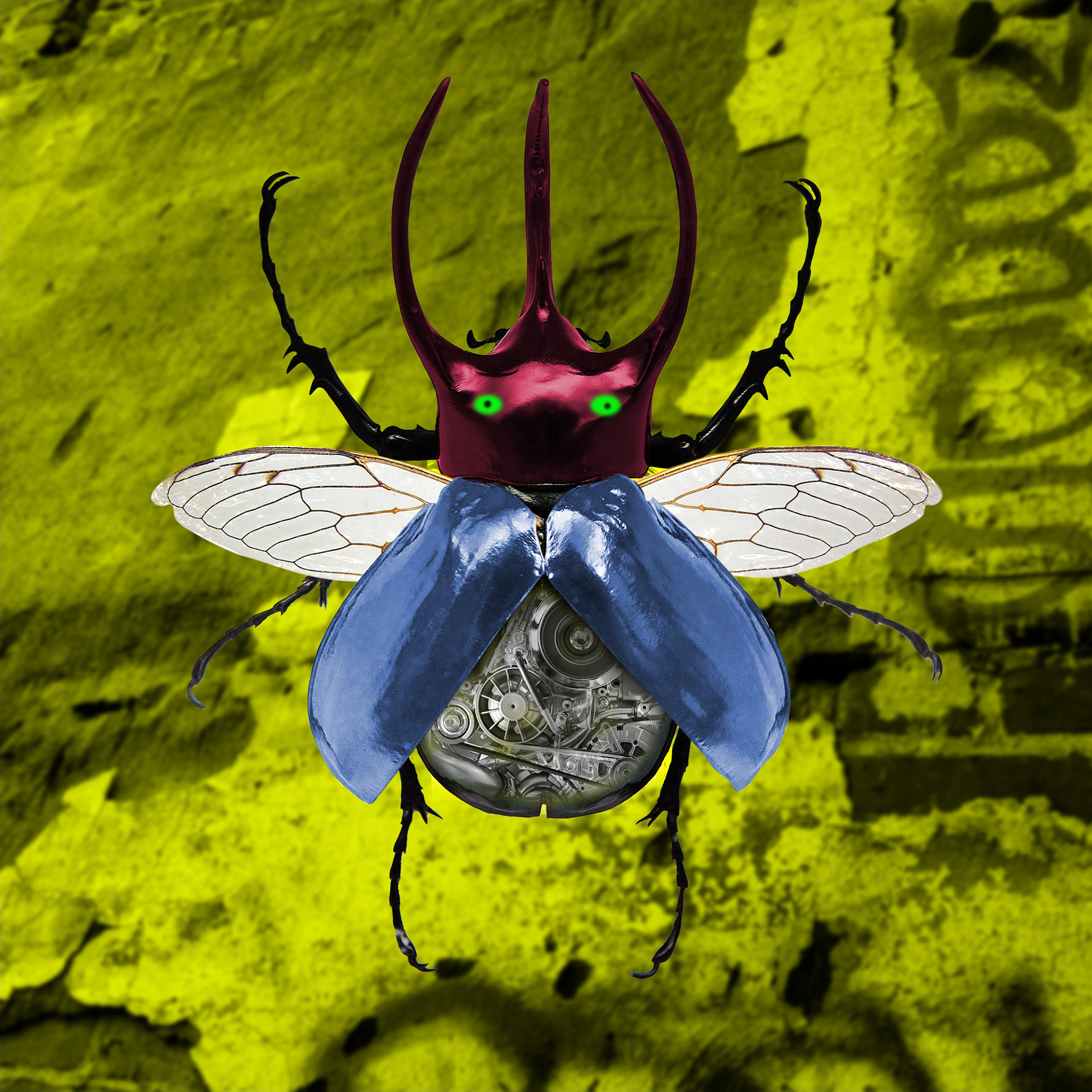 Stag Beetle