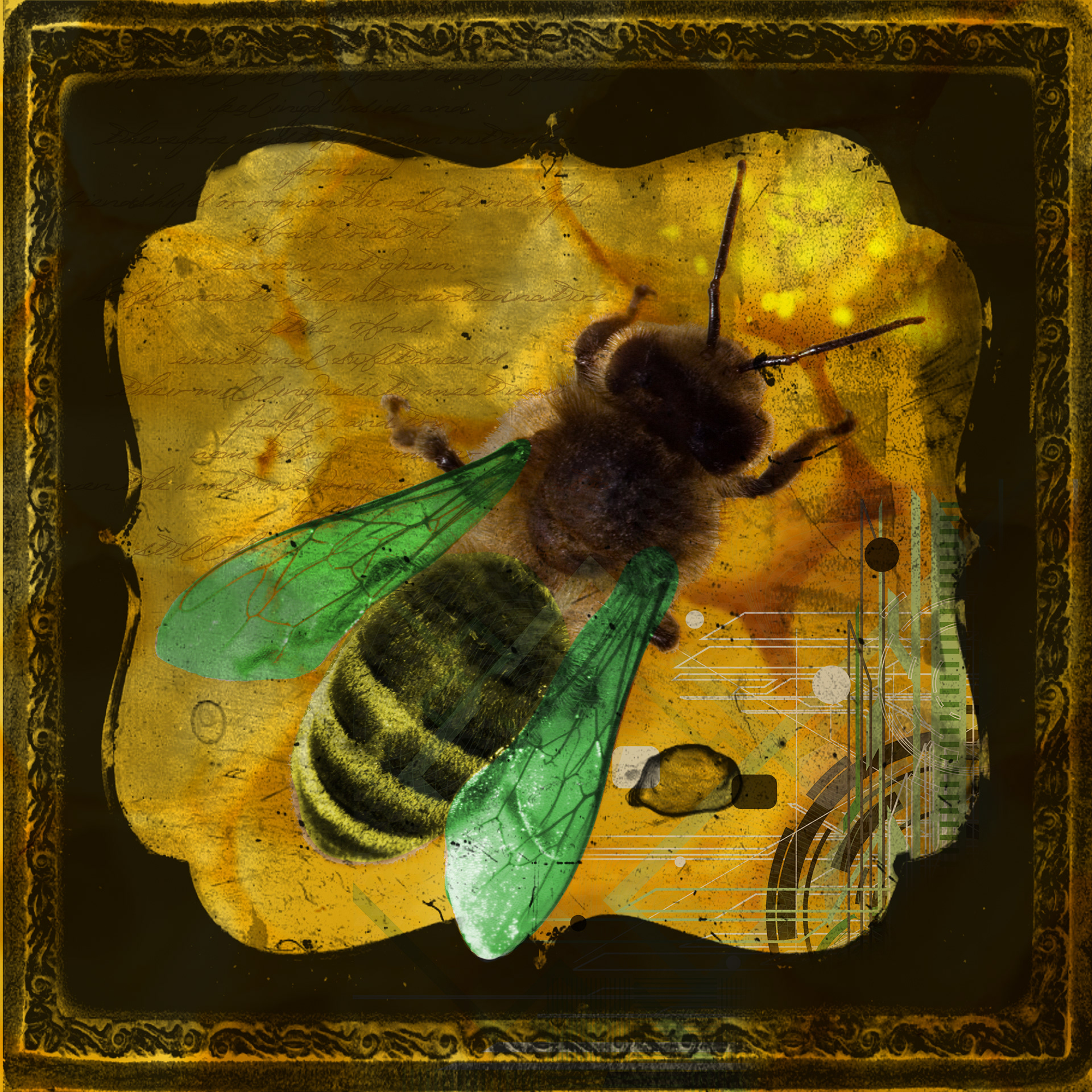 Bee