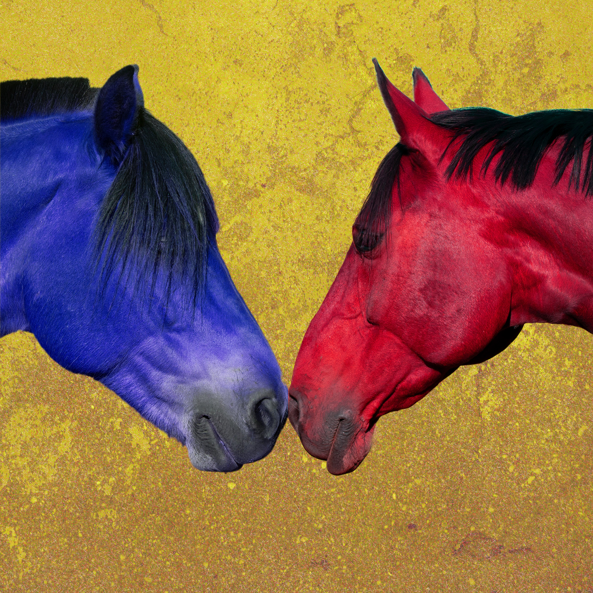 Double Horse