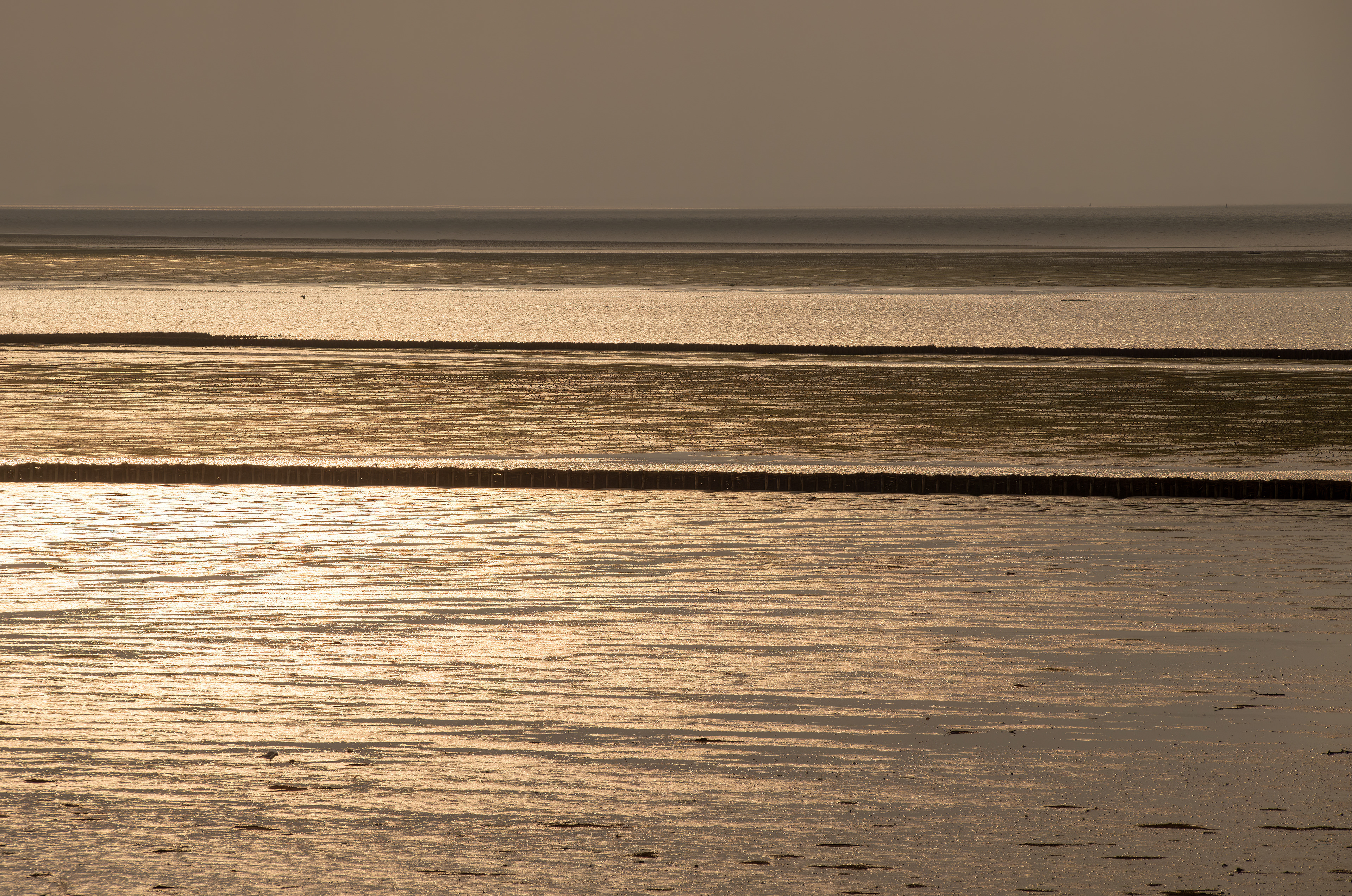 Northern Sea, Germany