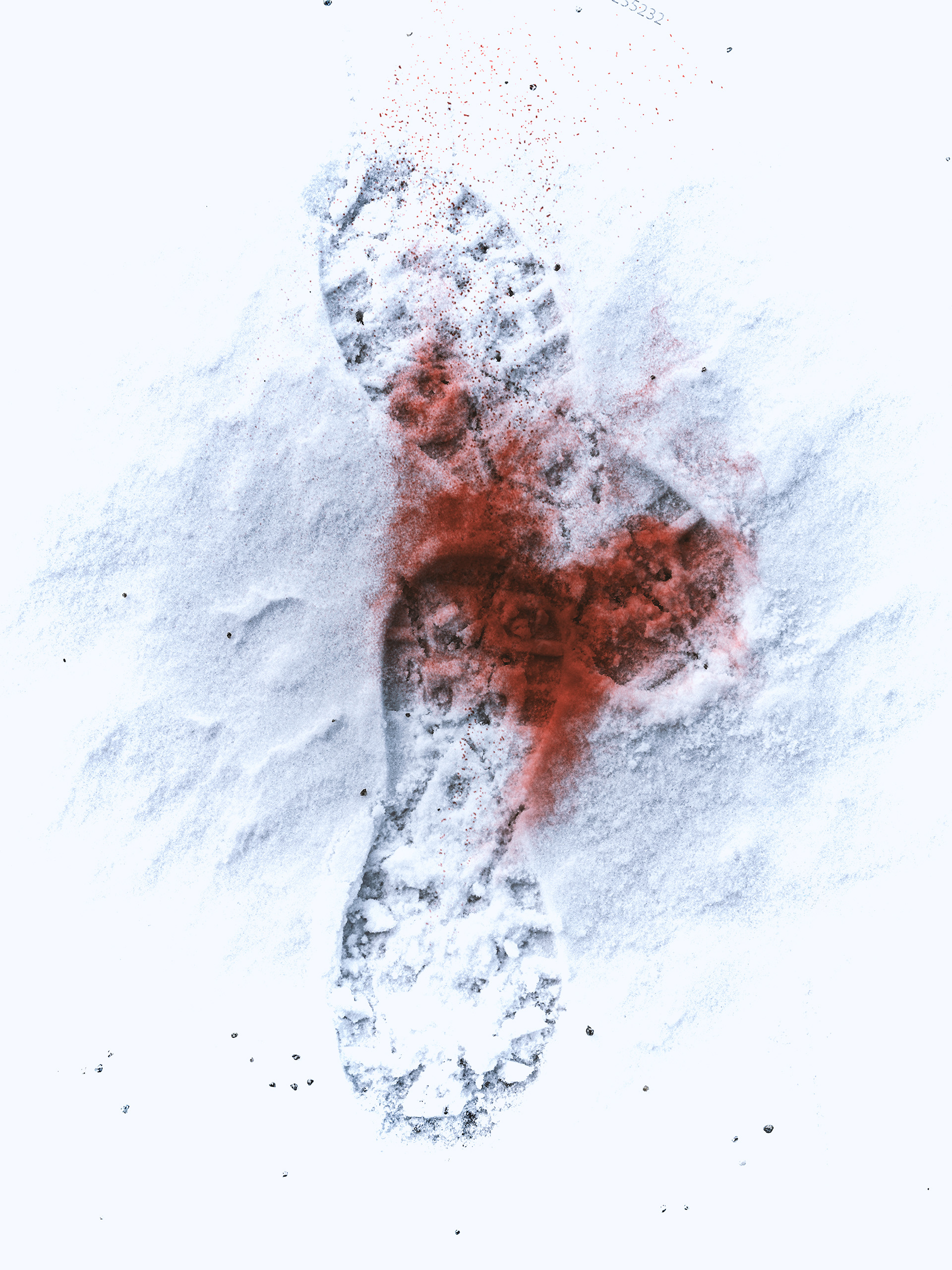 Blood in the Snow
