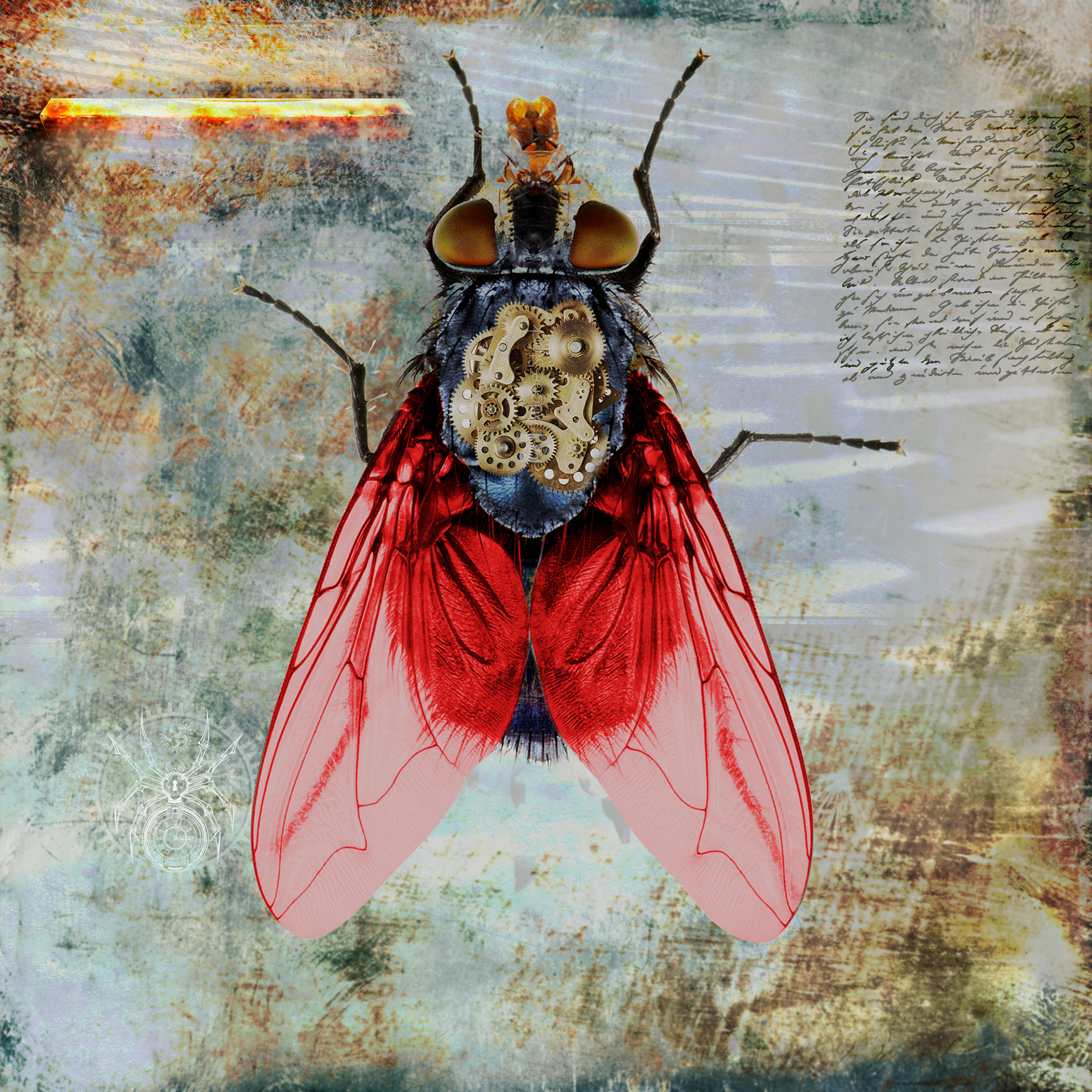 Fly