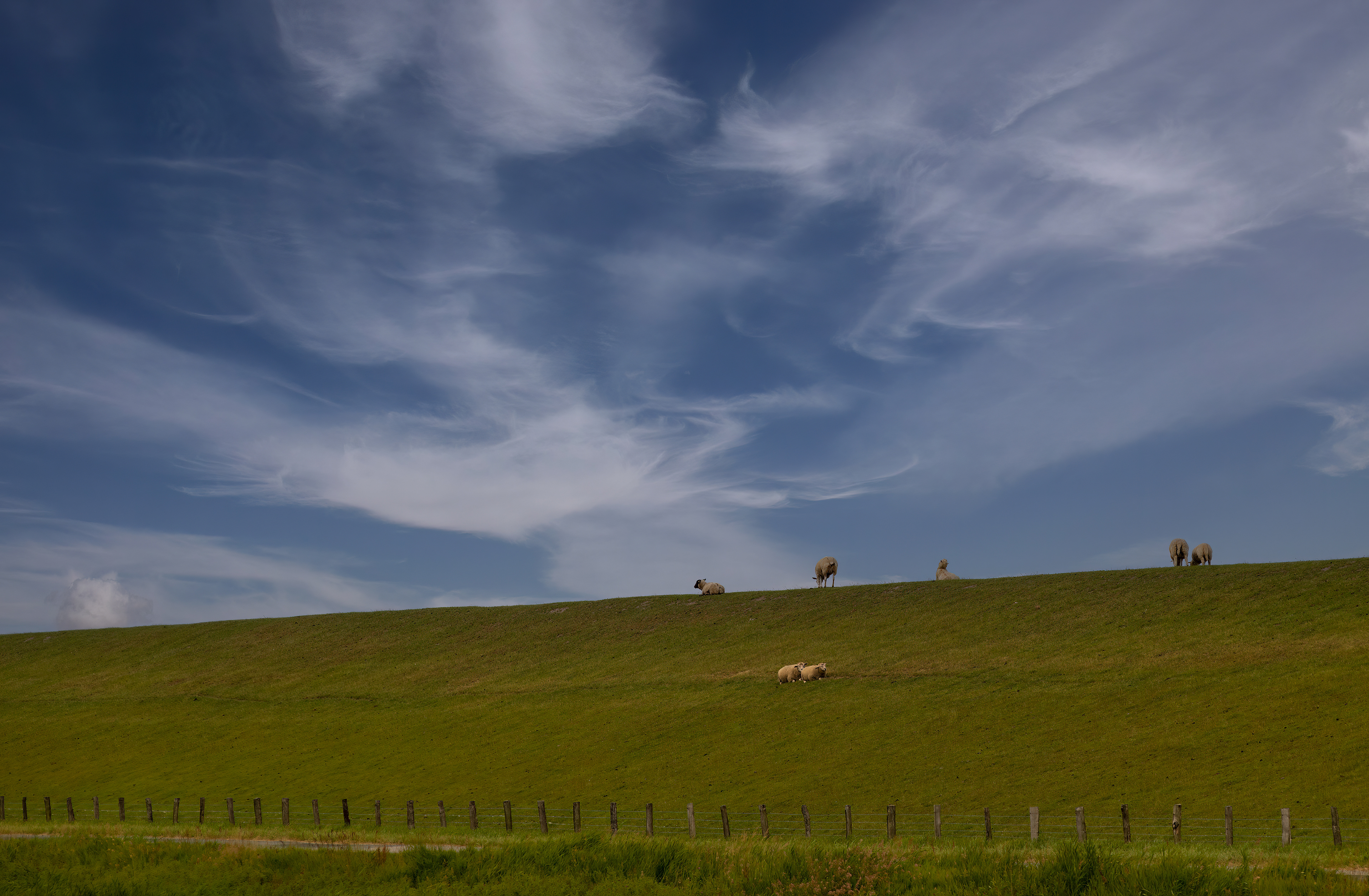 Northern Sea, Germany