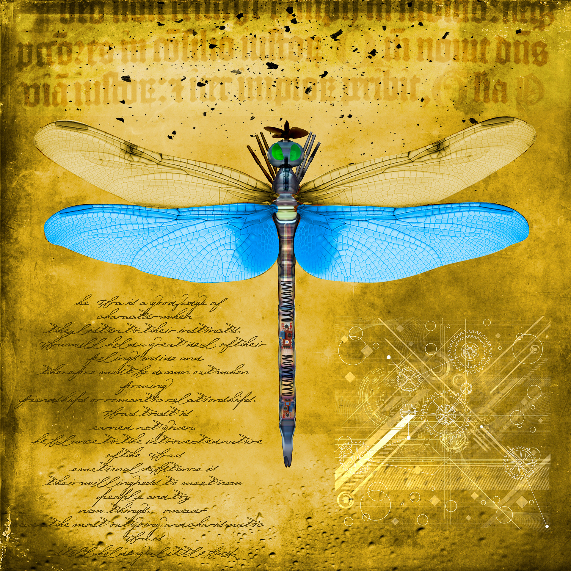 Dragonfly