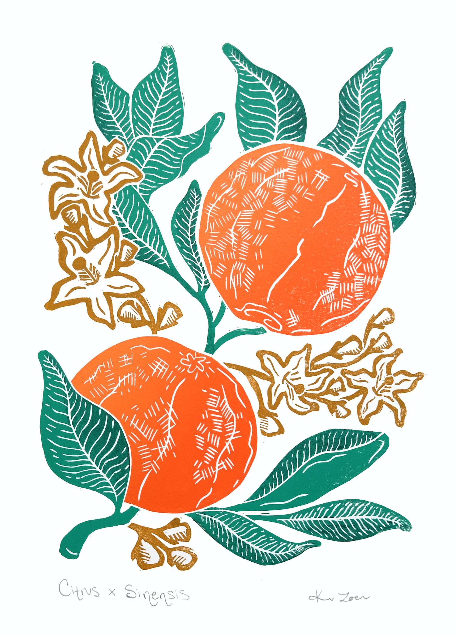 "Citrus x Sinensis" Original Linocut