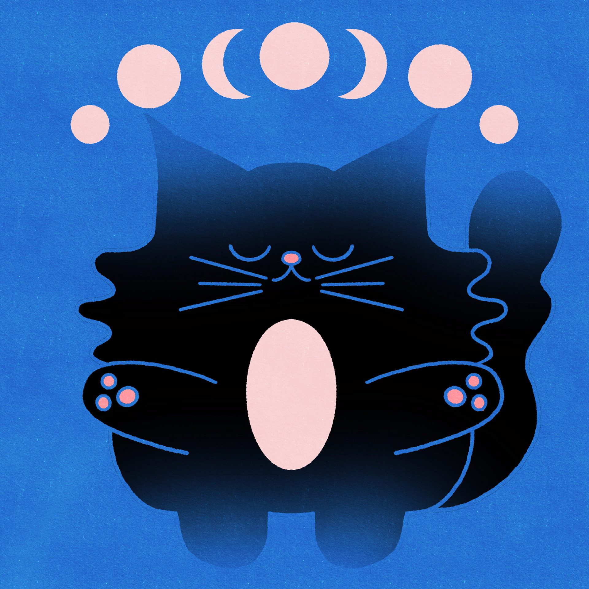 Black Cat