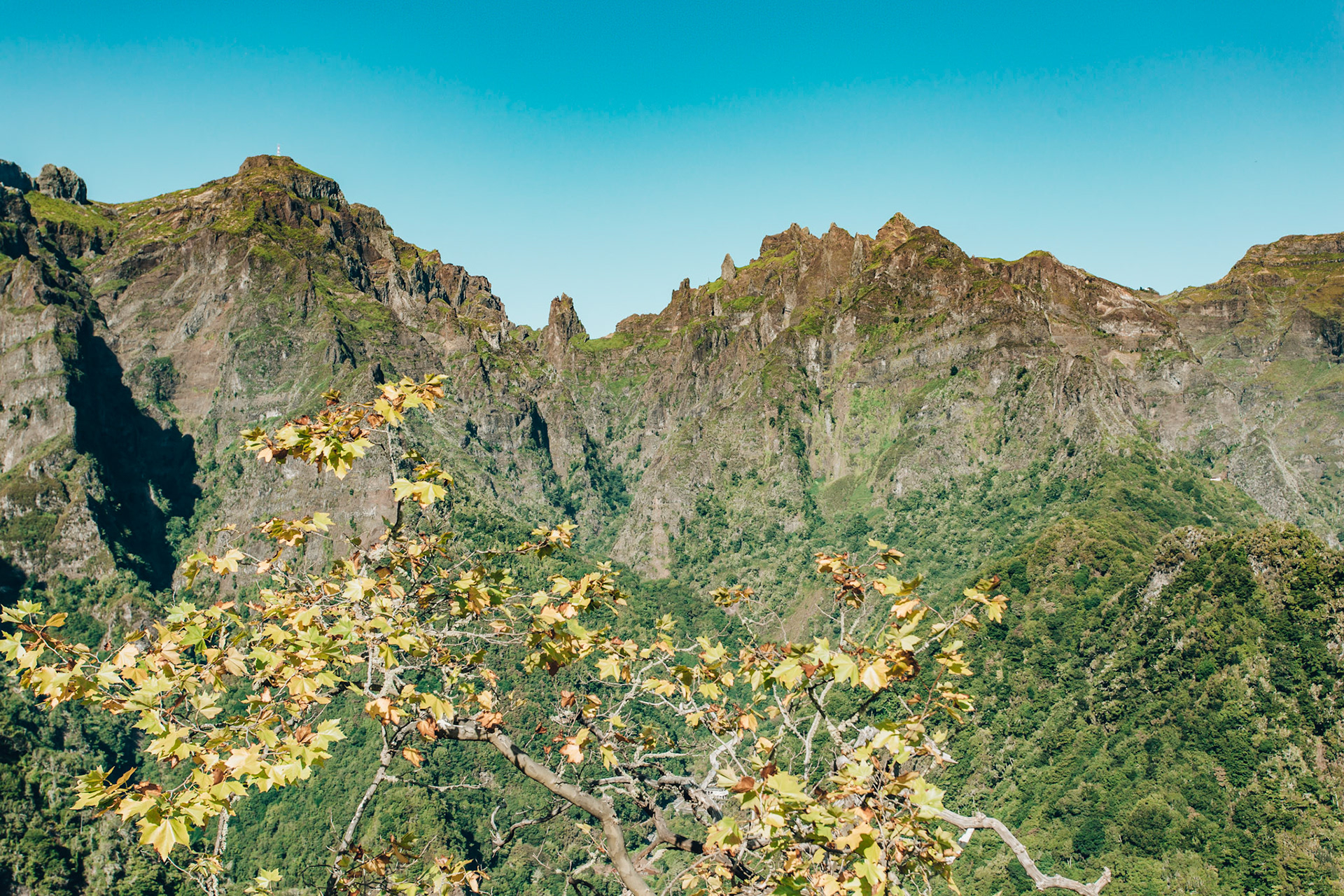 Ridgline