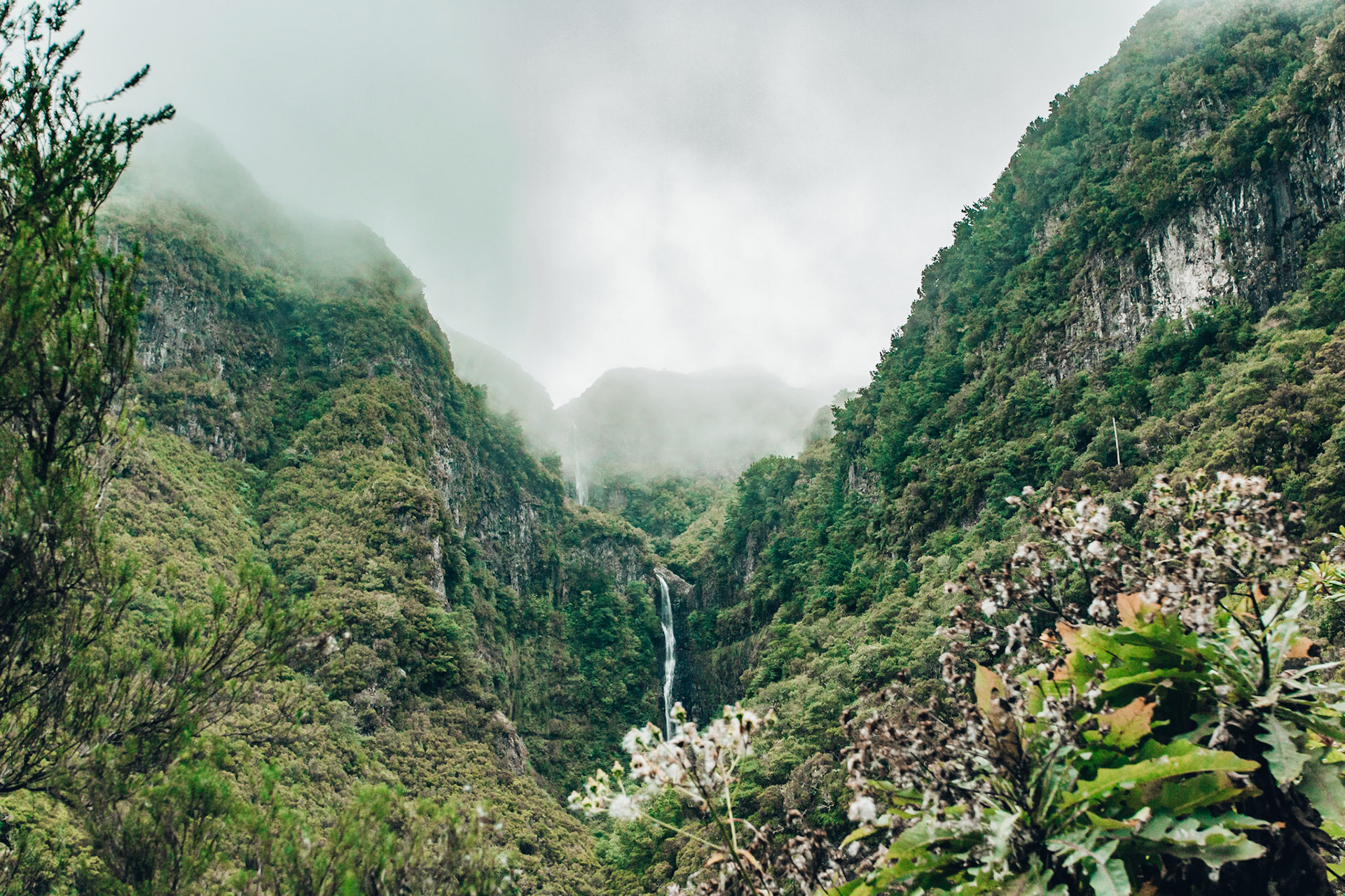 Madeira Forest Falls