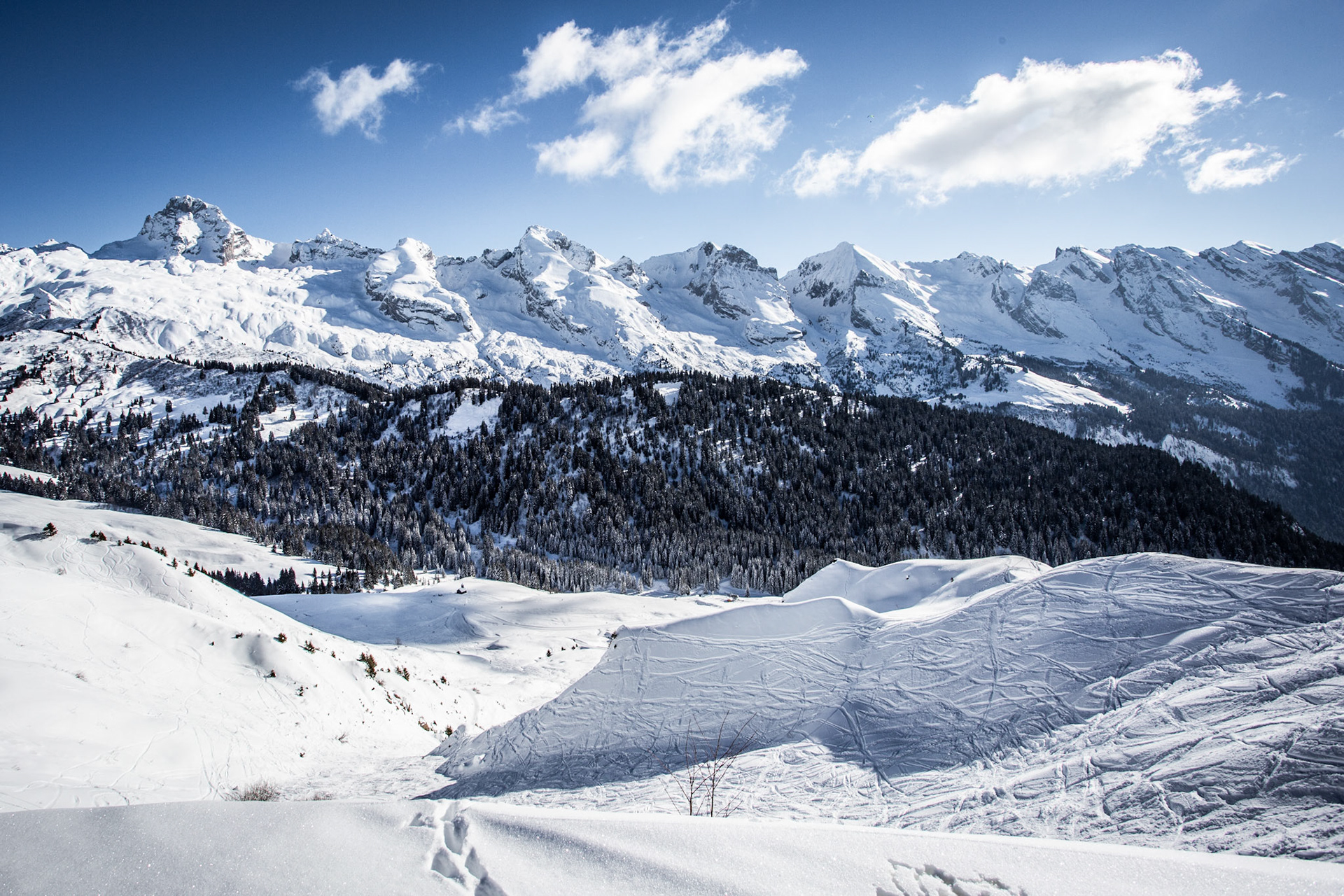 Aravis