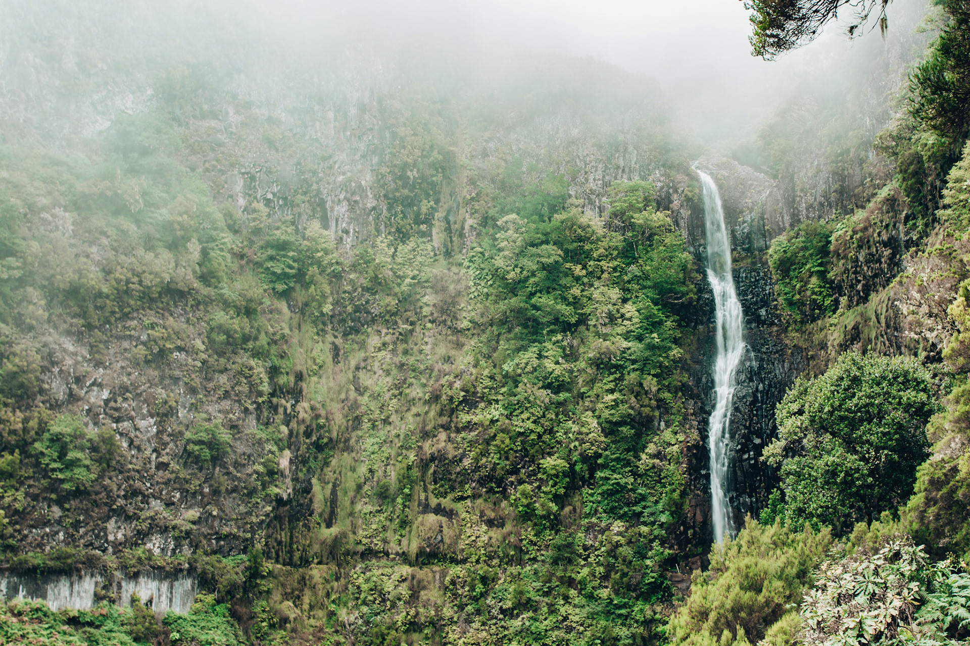 Madeira Fall