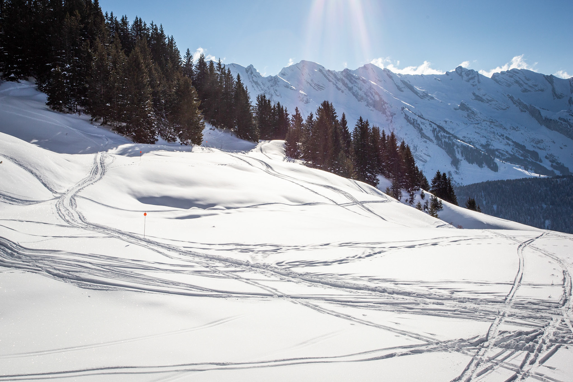 Ski Tracks