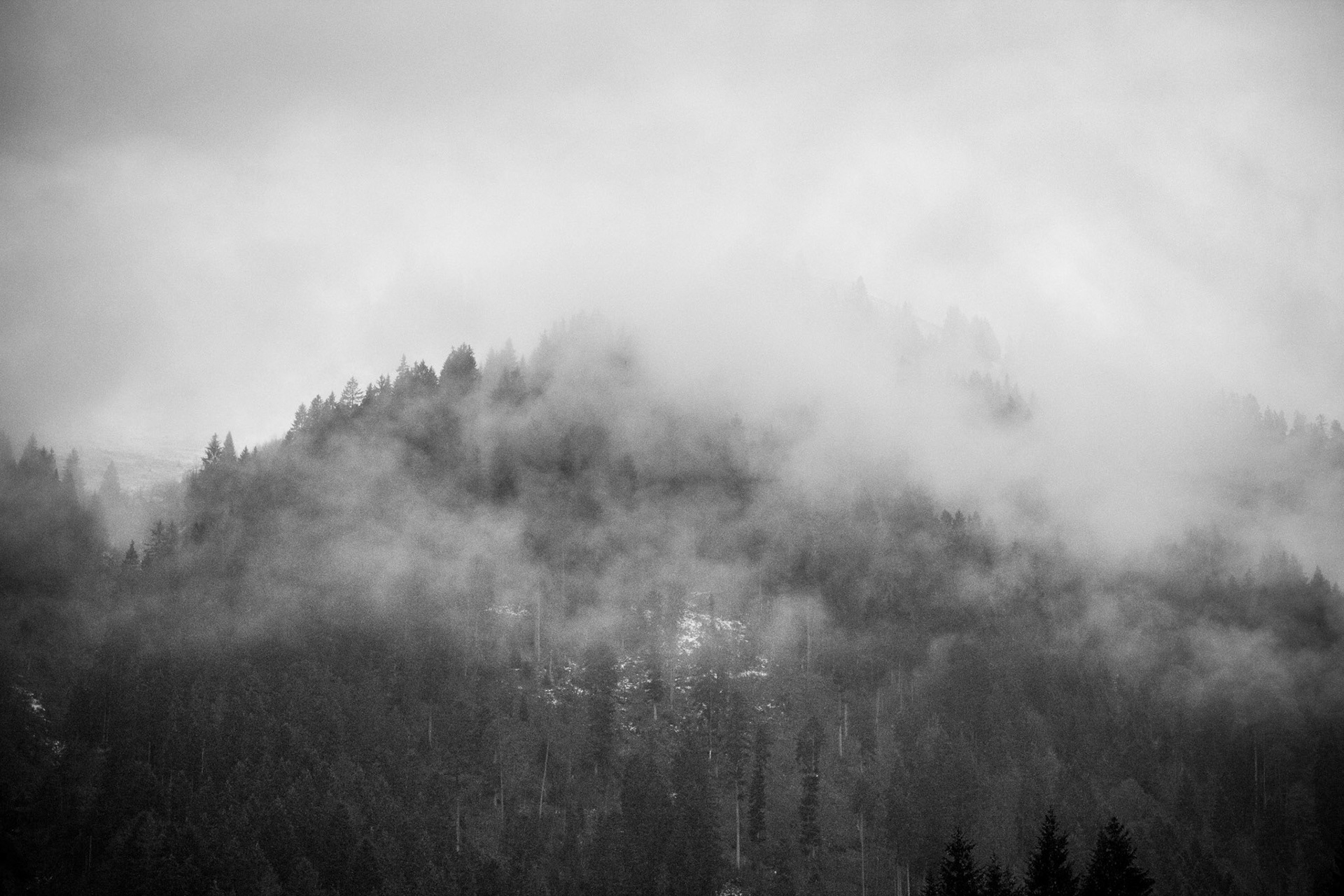 Swiss Mist