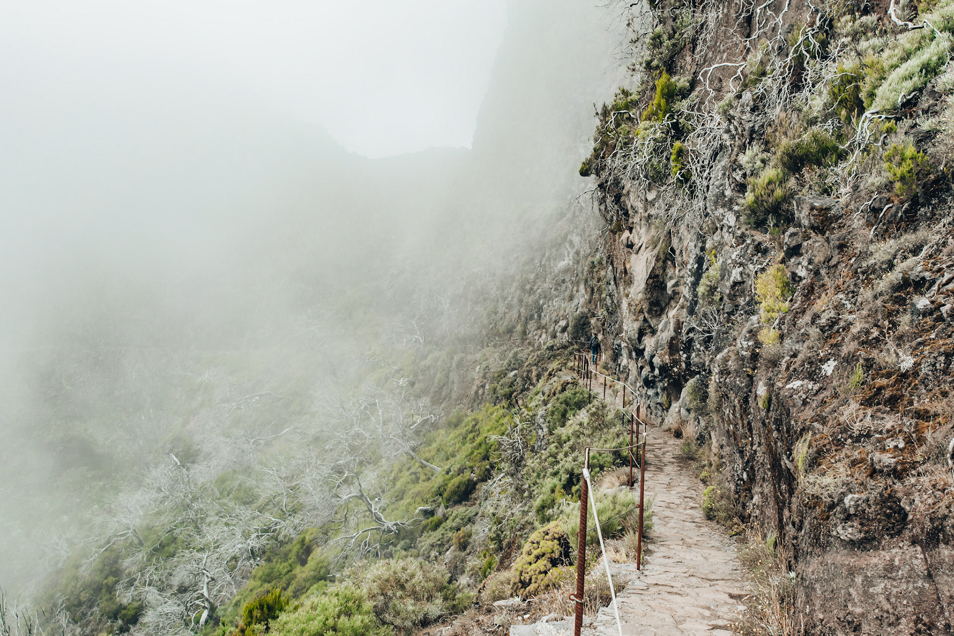 On the Edge