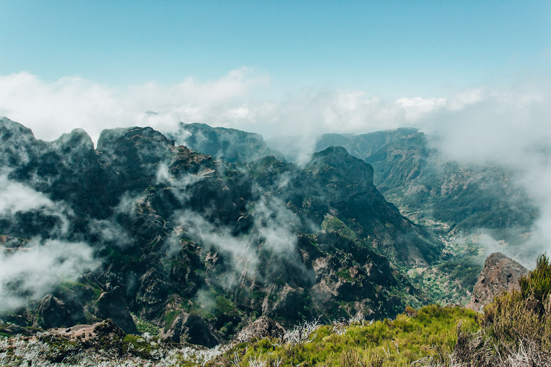 Scattered Mist
