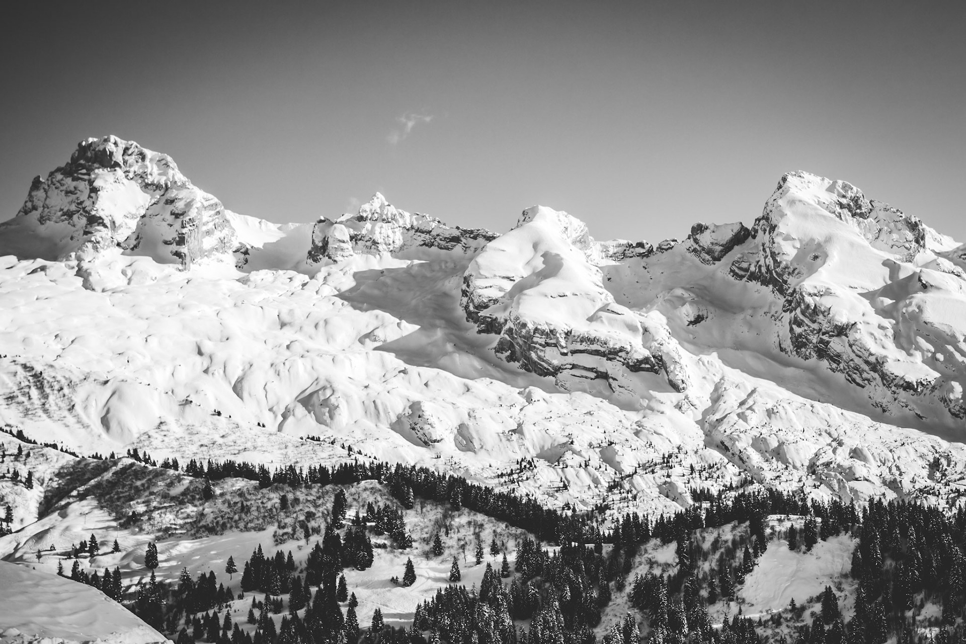 Big and Bold B&W