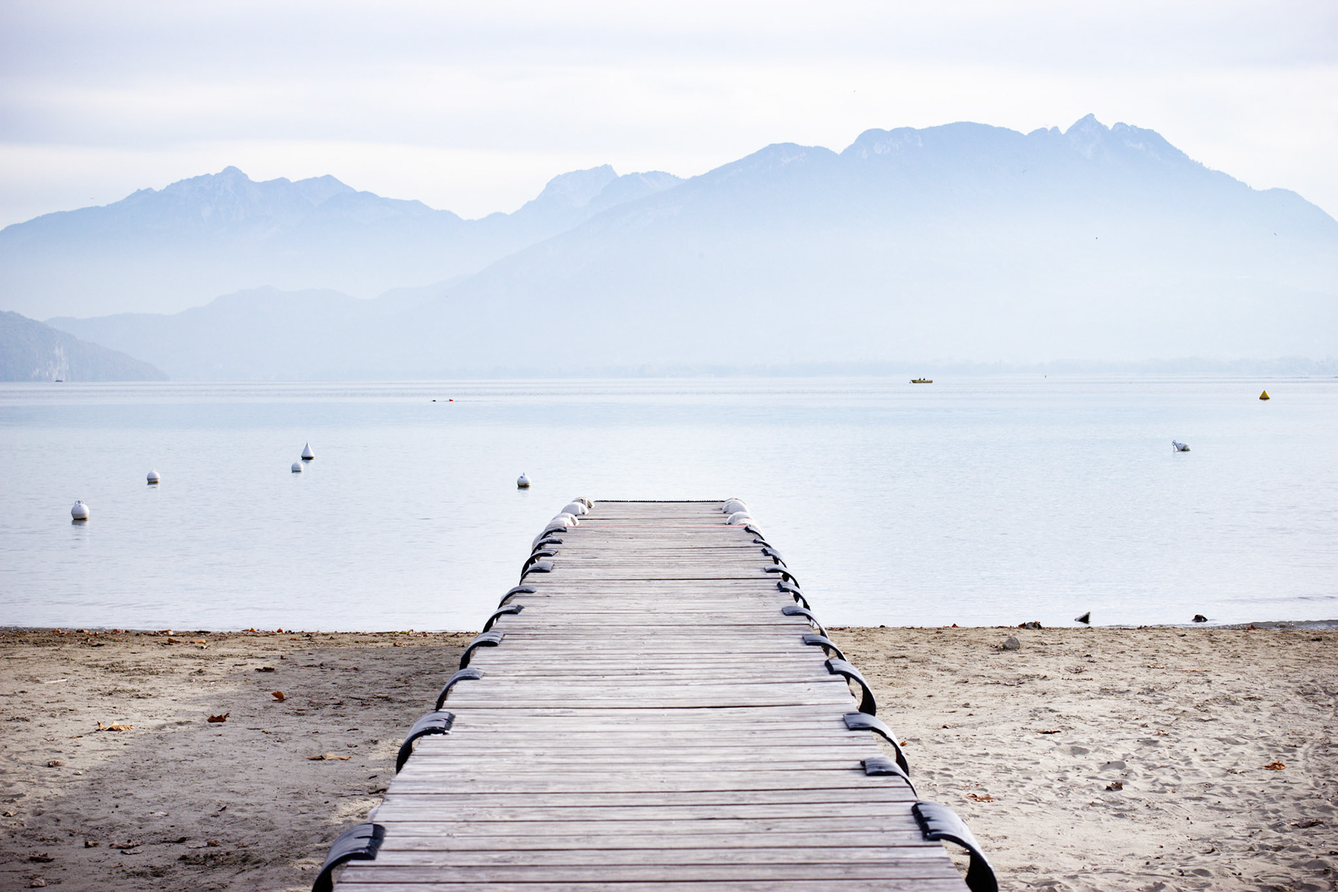 Lake Boardwalk