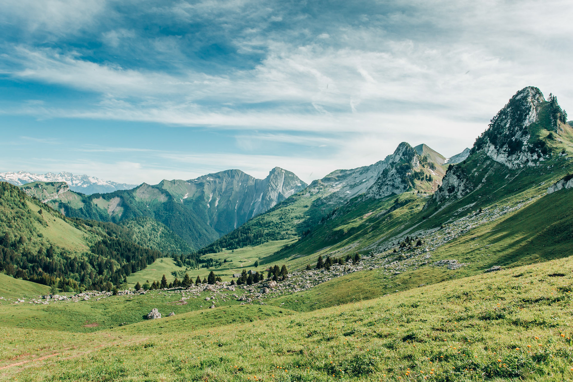 Alpine Living