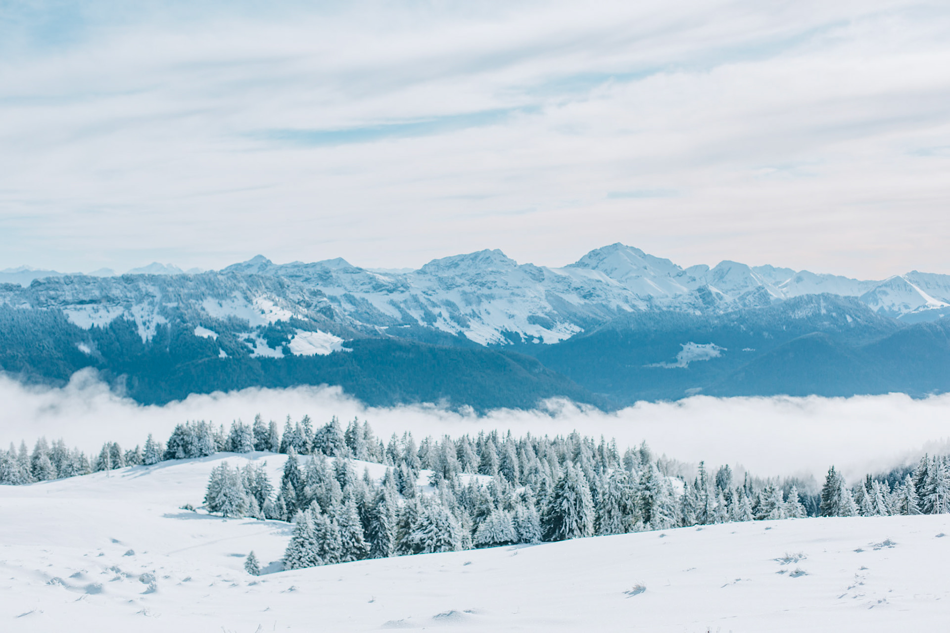Early Winter