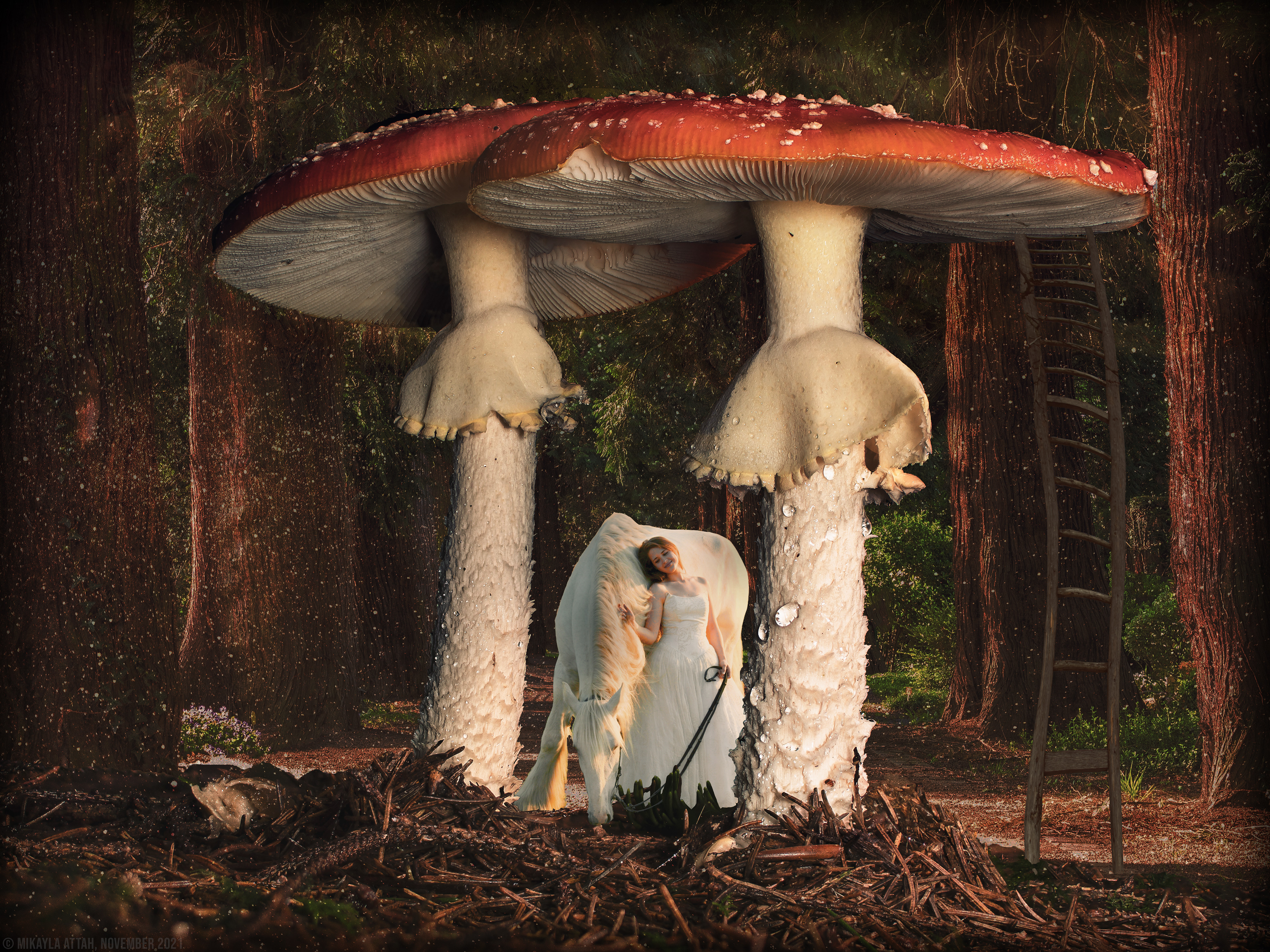 Woodland Dreams: Photo Manipulation | © Mikayla Attah