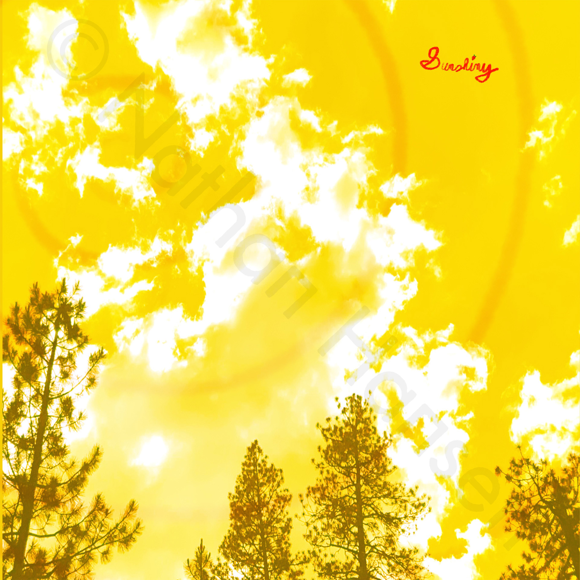 Sunshiny