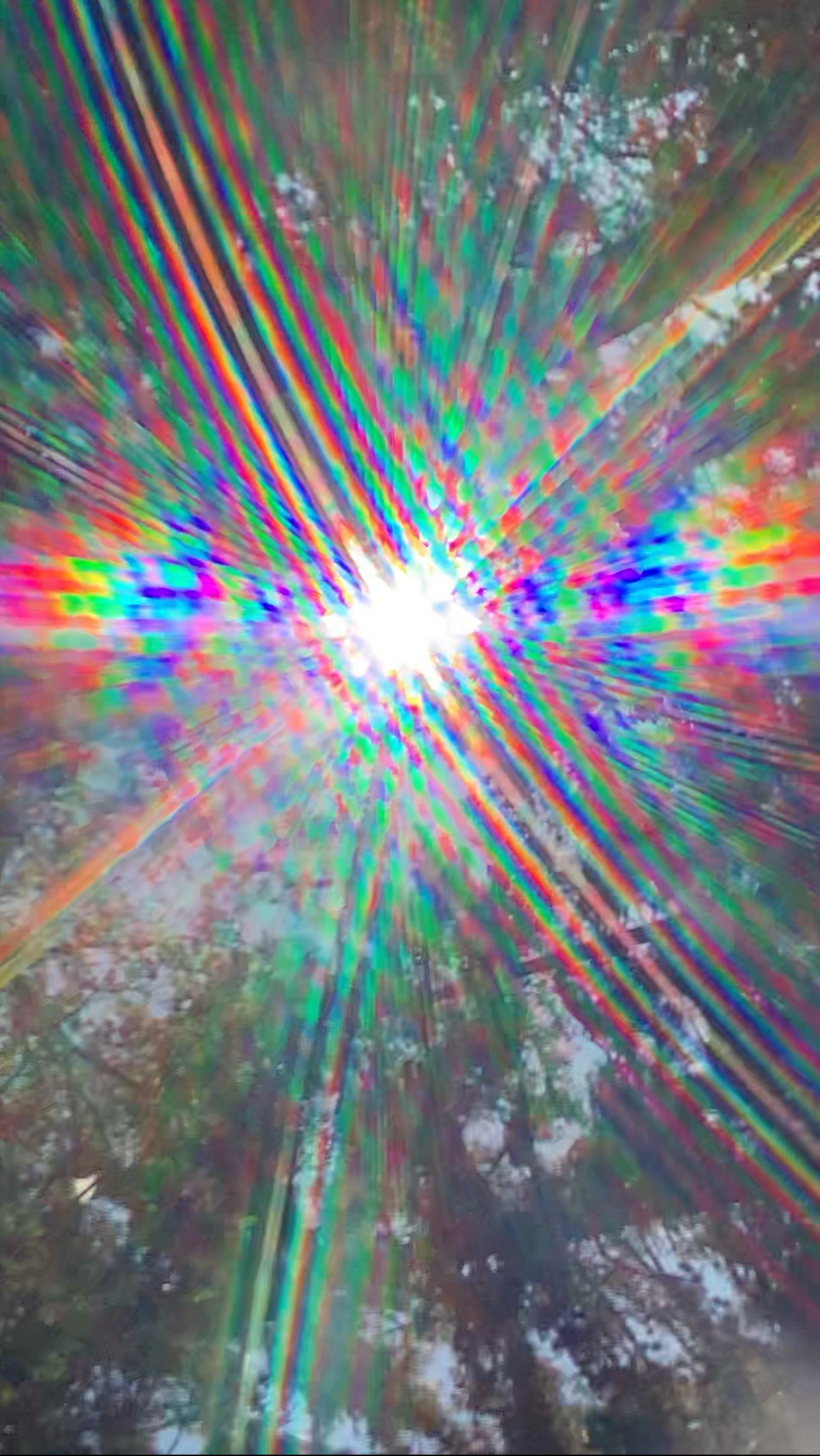 Rainbow Reflection