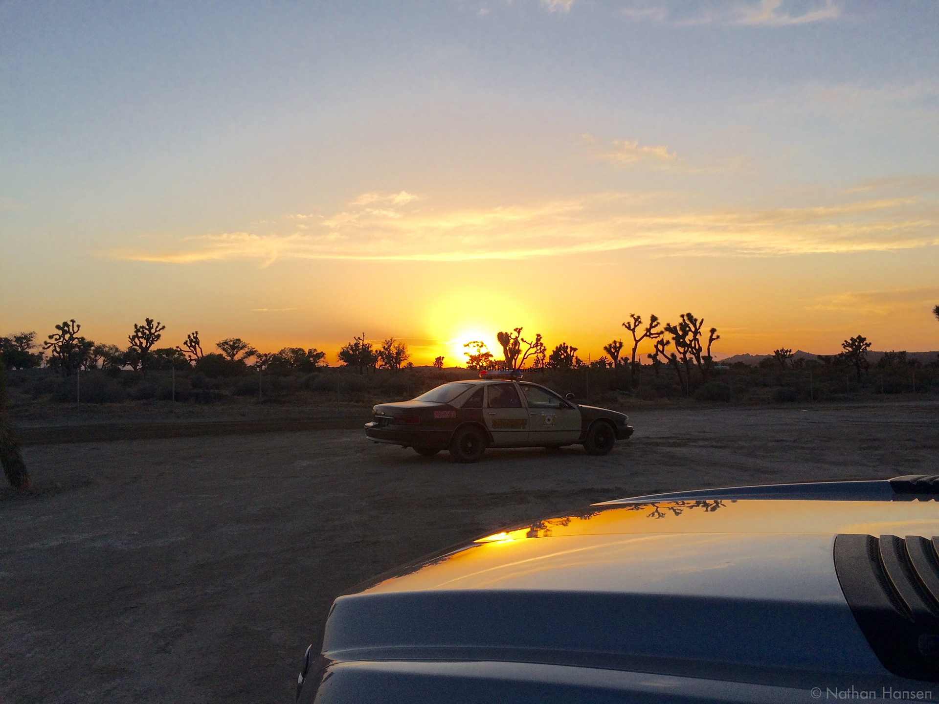 The Orange in Evening West