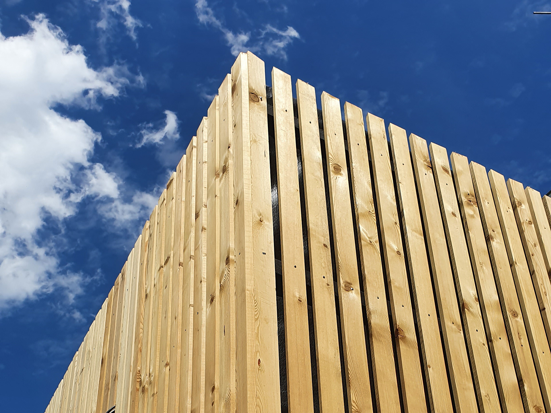 Mélèze à claire-voie