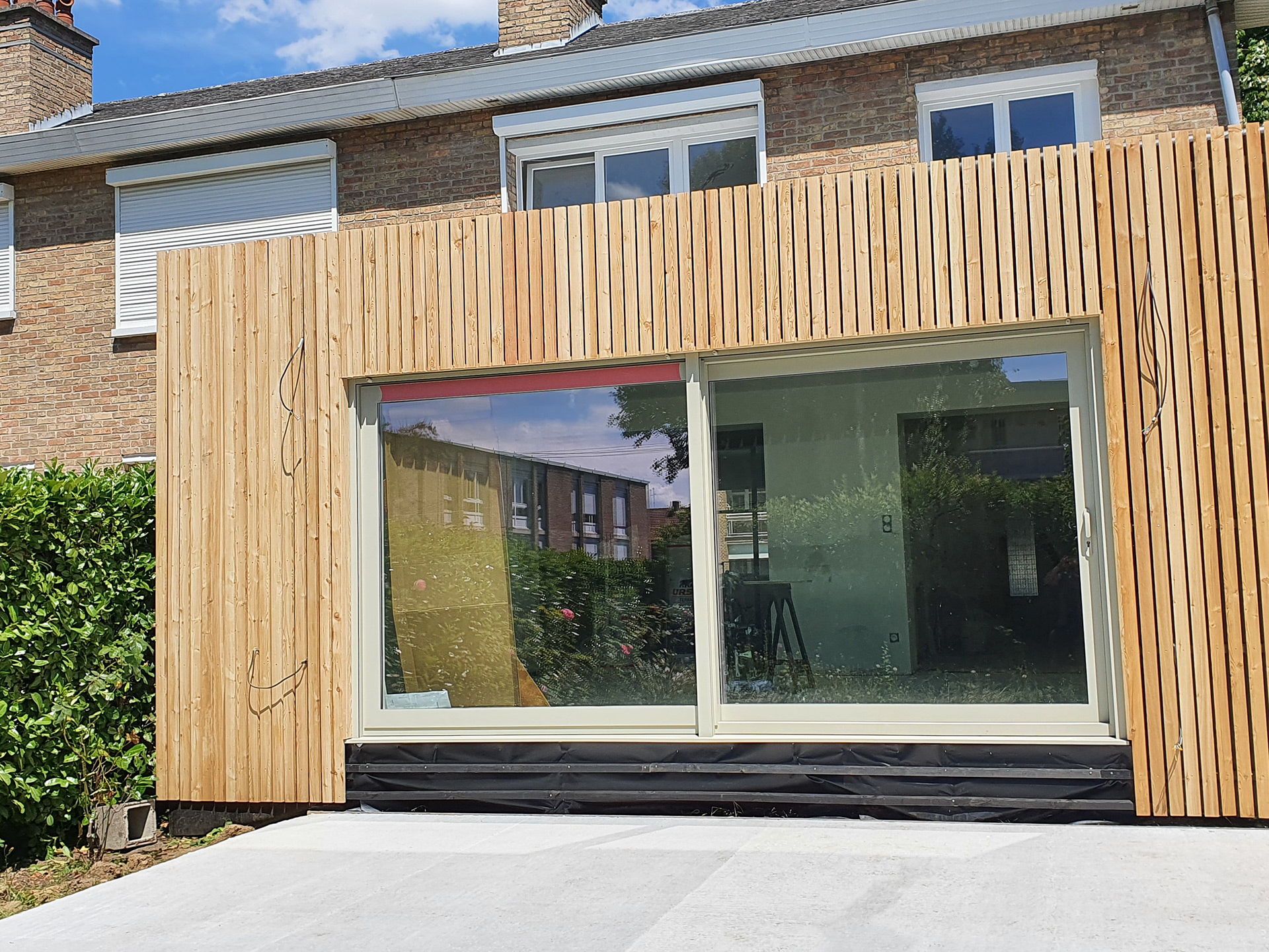 Mélèze à claire-voie