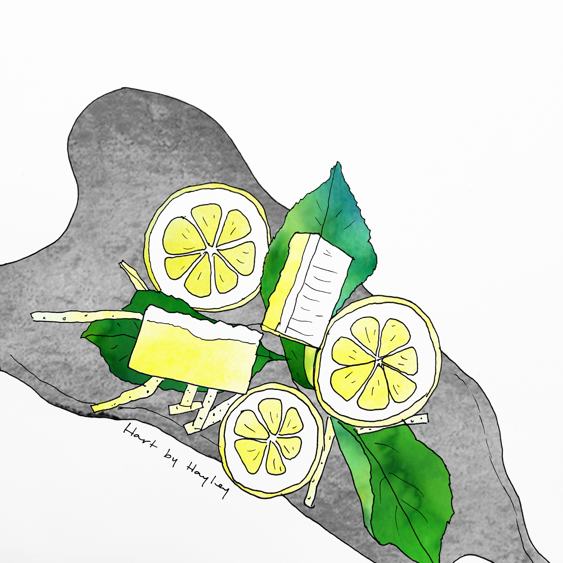 Hand drawing with digital watercolour based off a styled flatly of Fudge