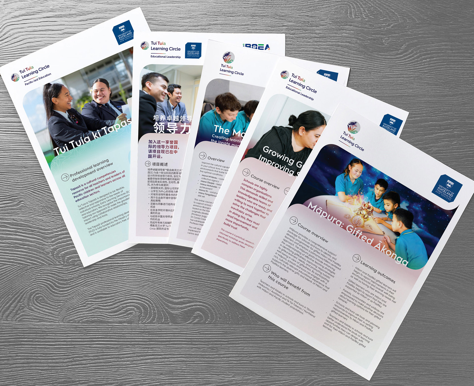 TUI TUIA | LEARNING CIRCLE • A4 SERVICE OFFERING FLYERS