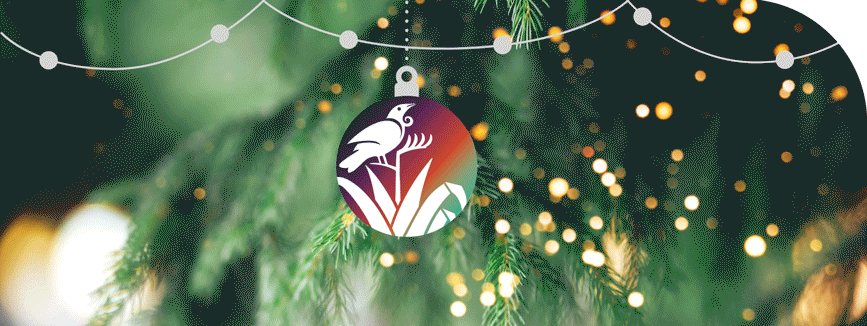 Tui Tuia EDM Header 2