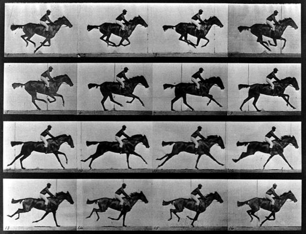 Precedents - The Galloping Horse Portfolio by Eadweard Muybridge