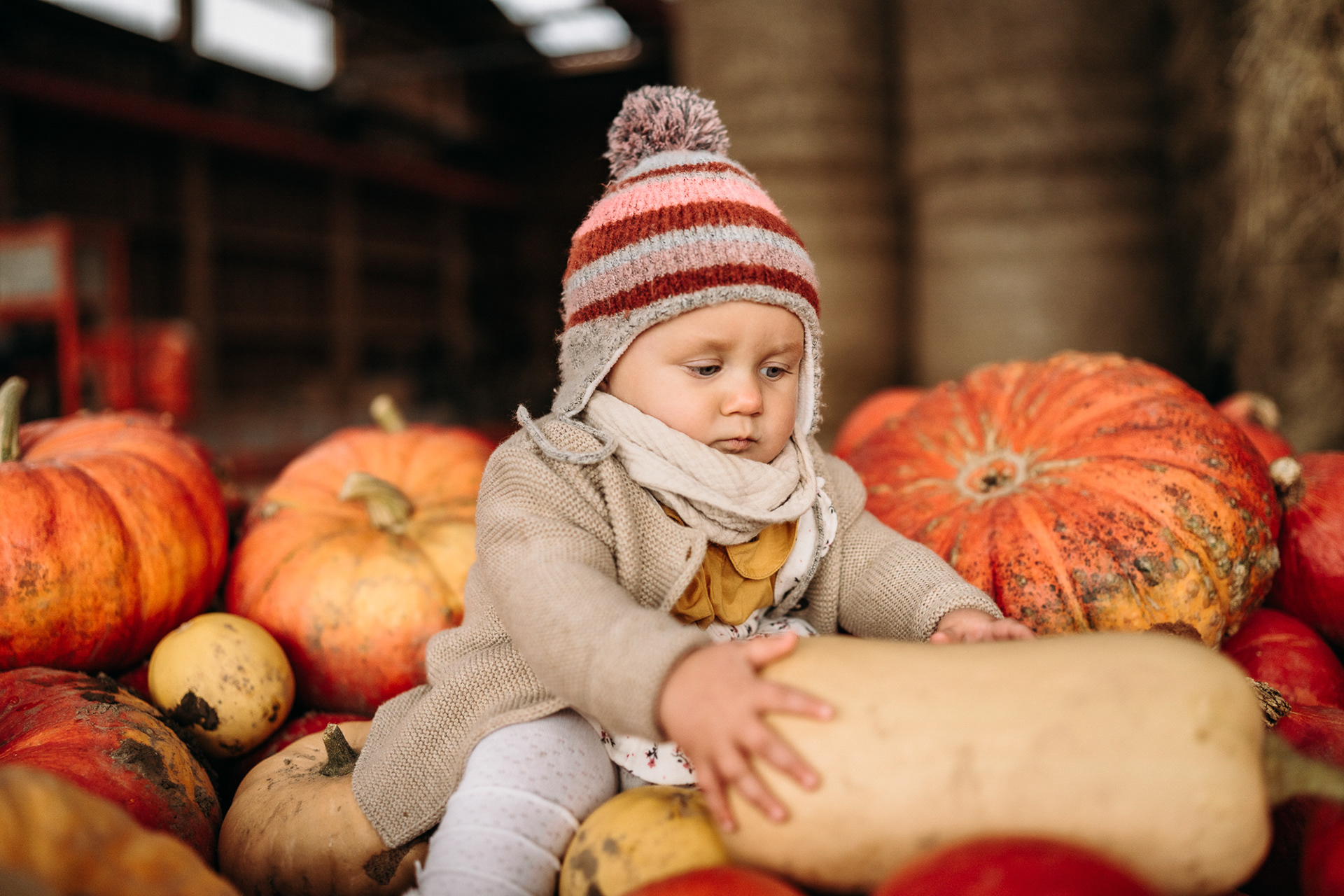 Kürbis Shooting mit Kindern