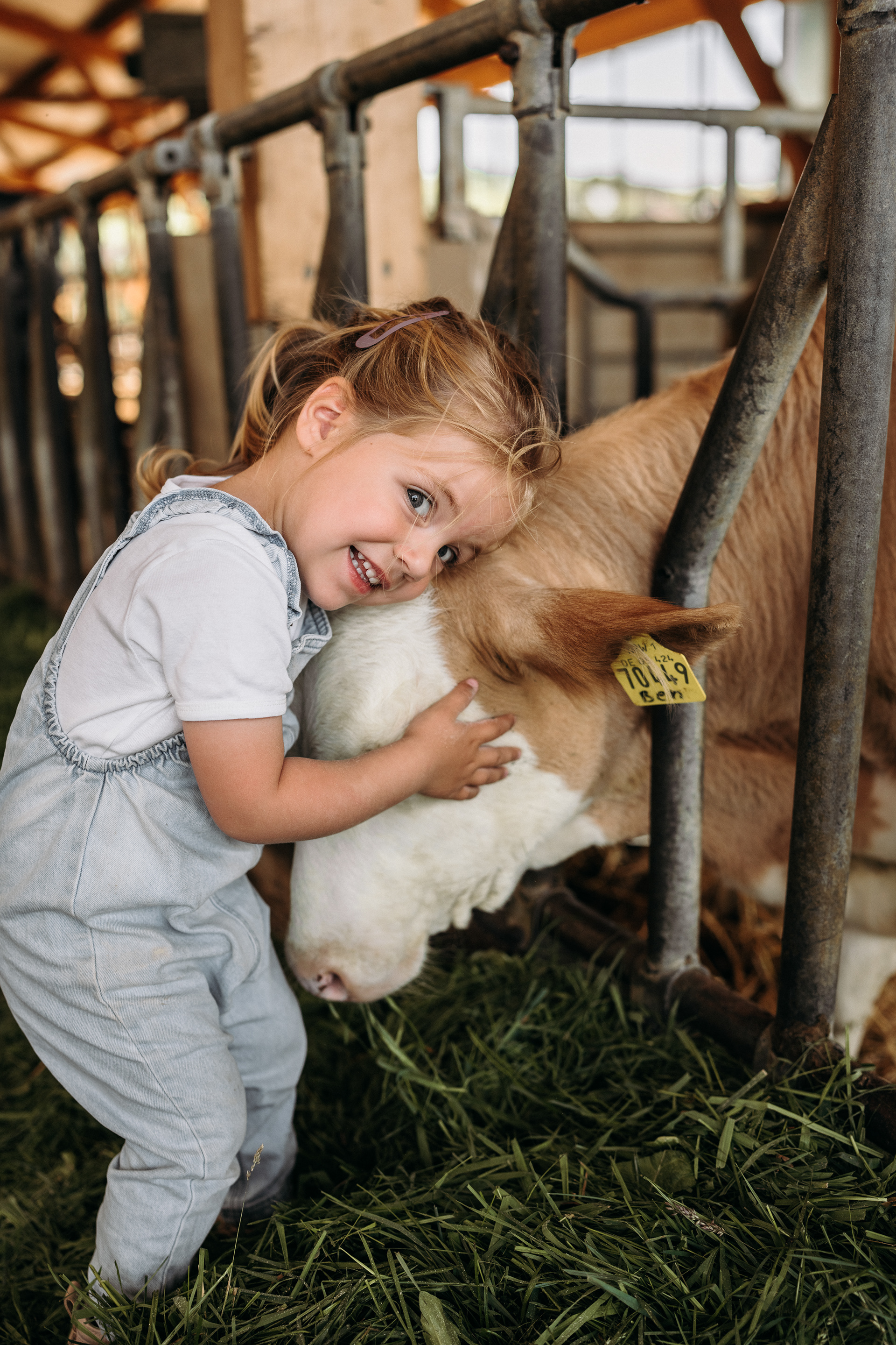 Kinderfotos mit Kühen
