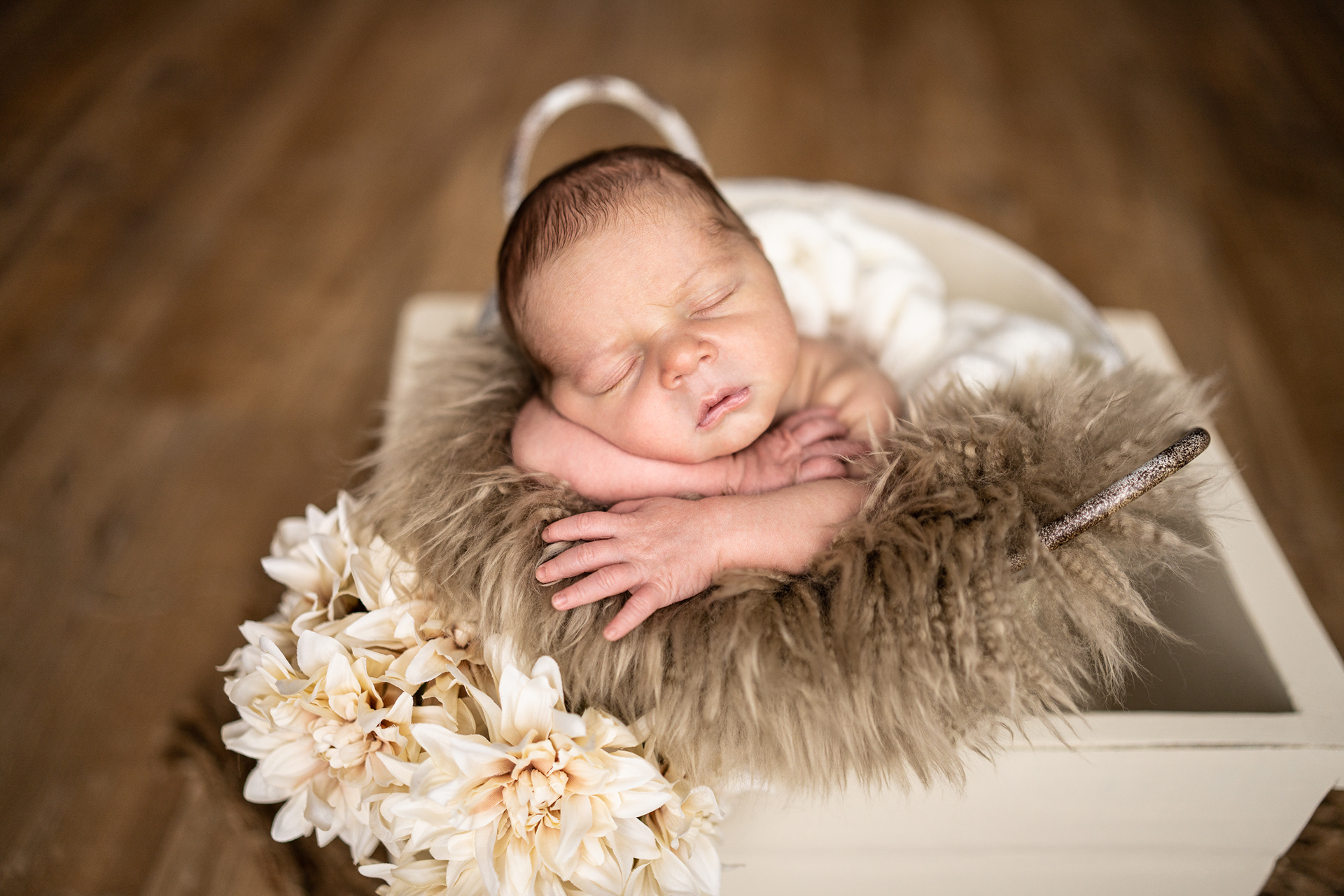 Fotoshooting für Babys