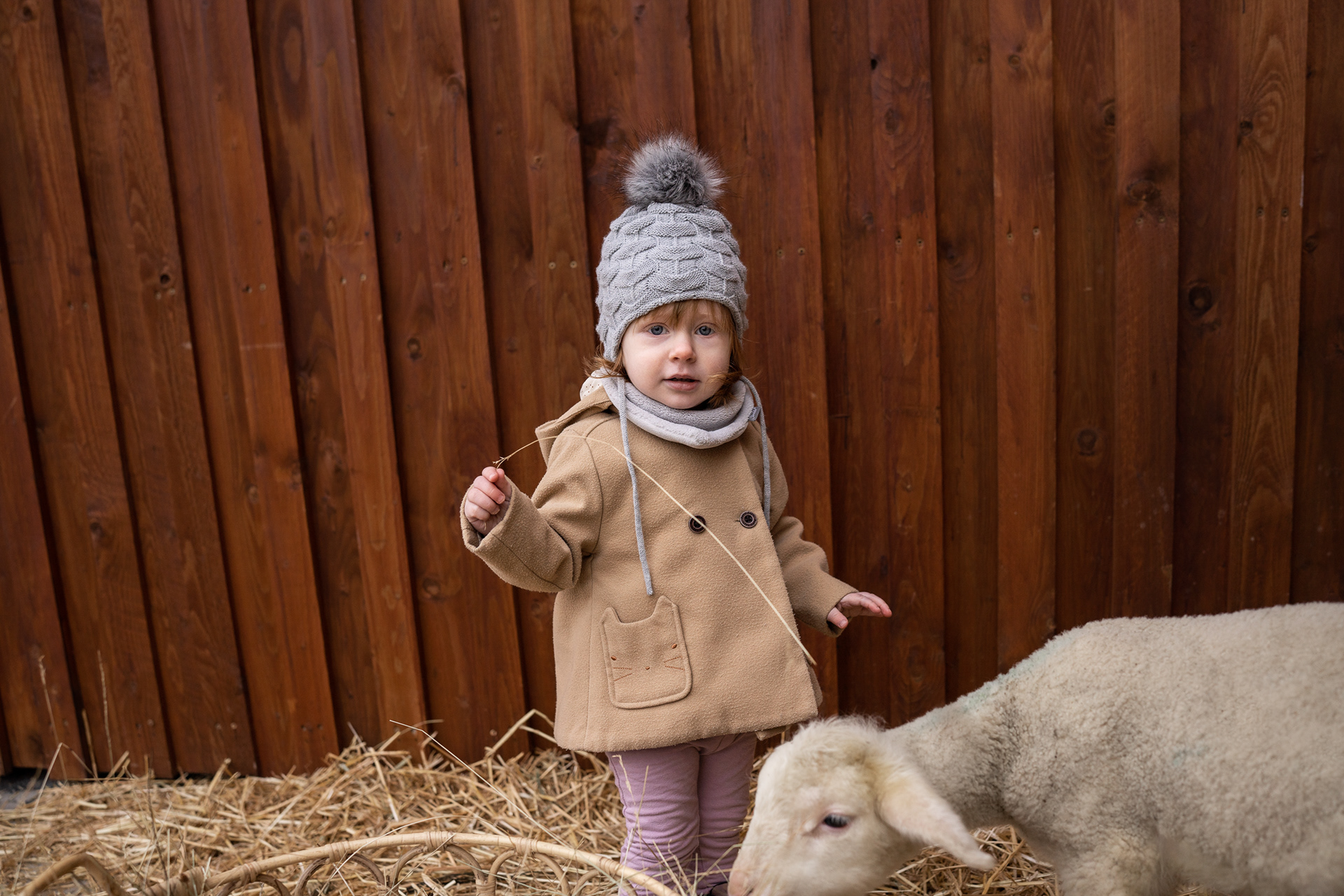 Kinder Lämmer Shooting Siegen