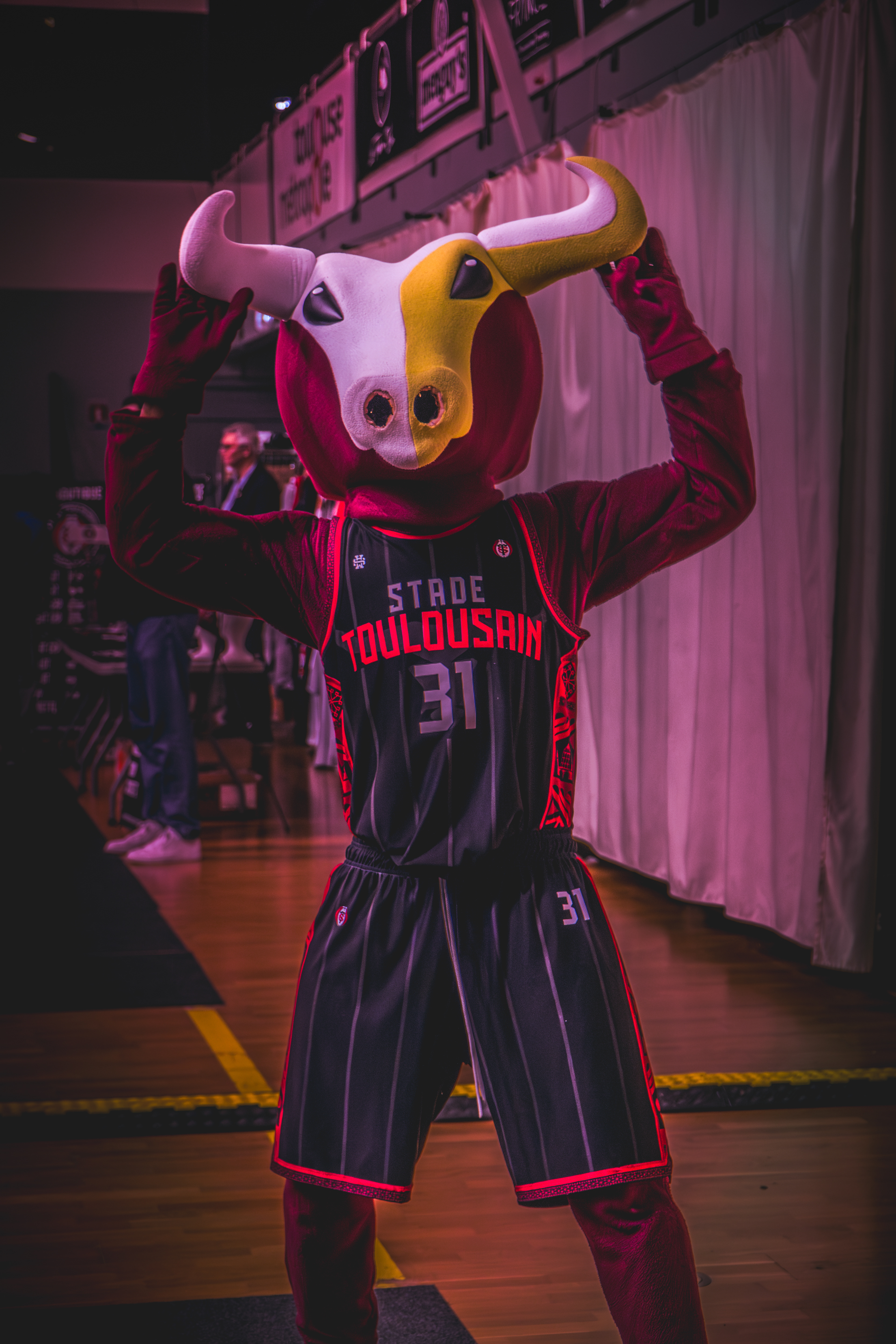 Stade Toulousain Basket