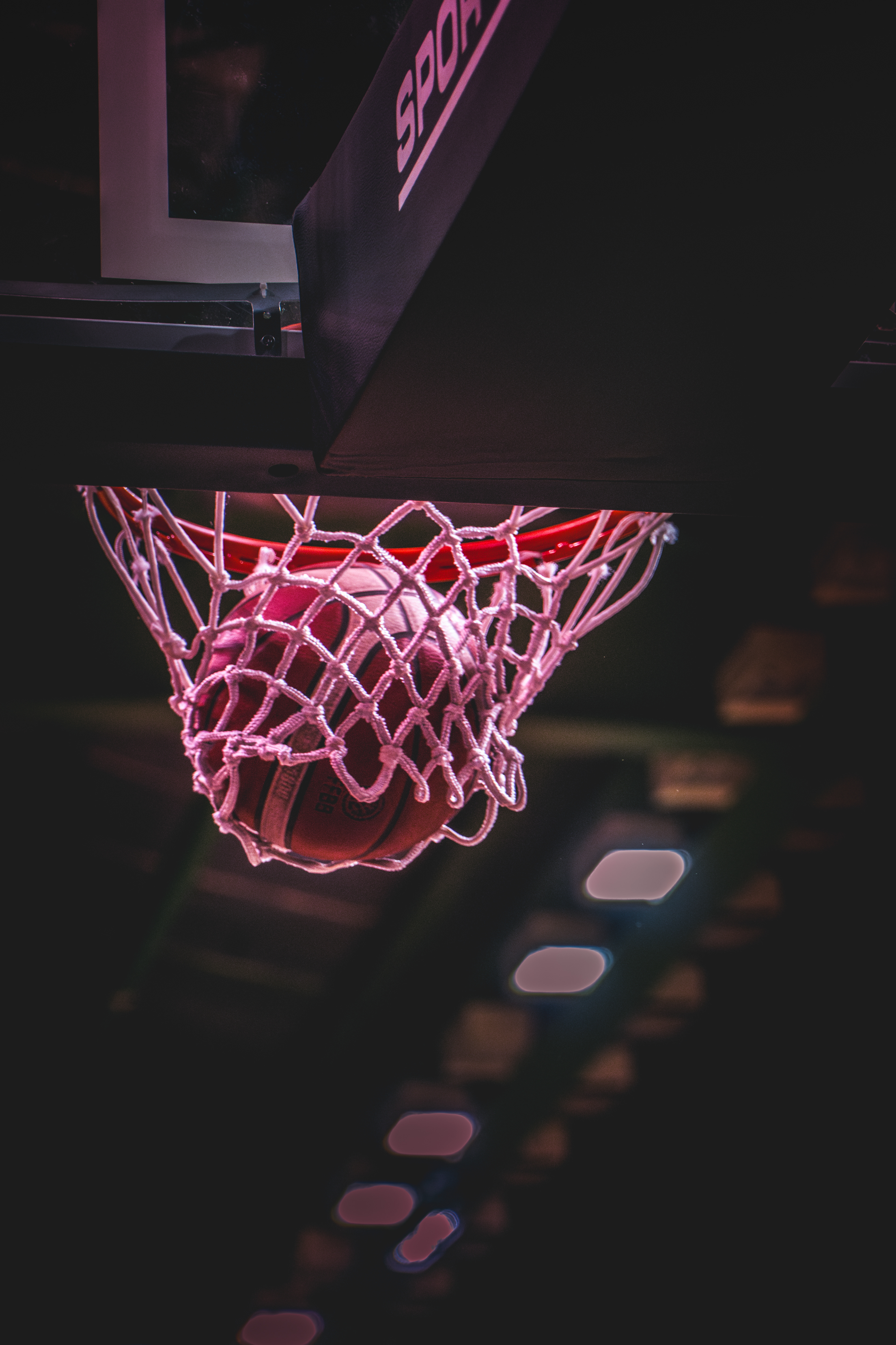 Stade Toulousain Basket