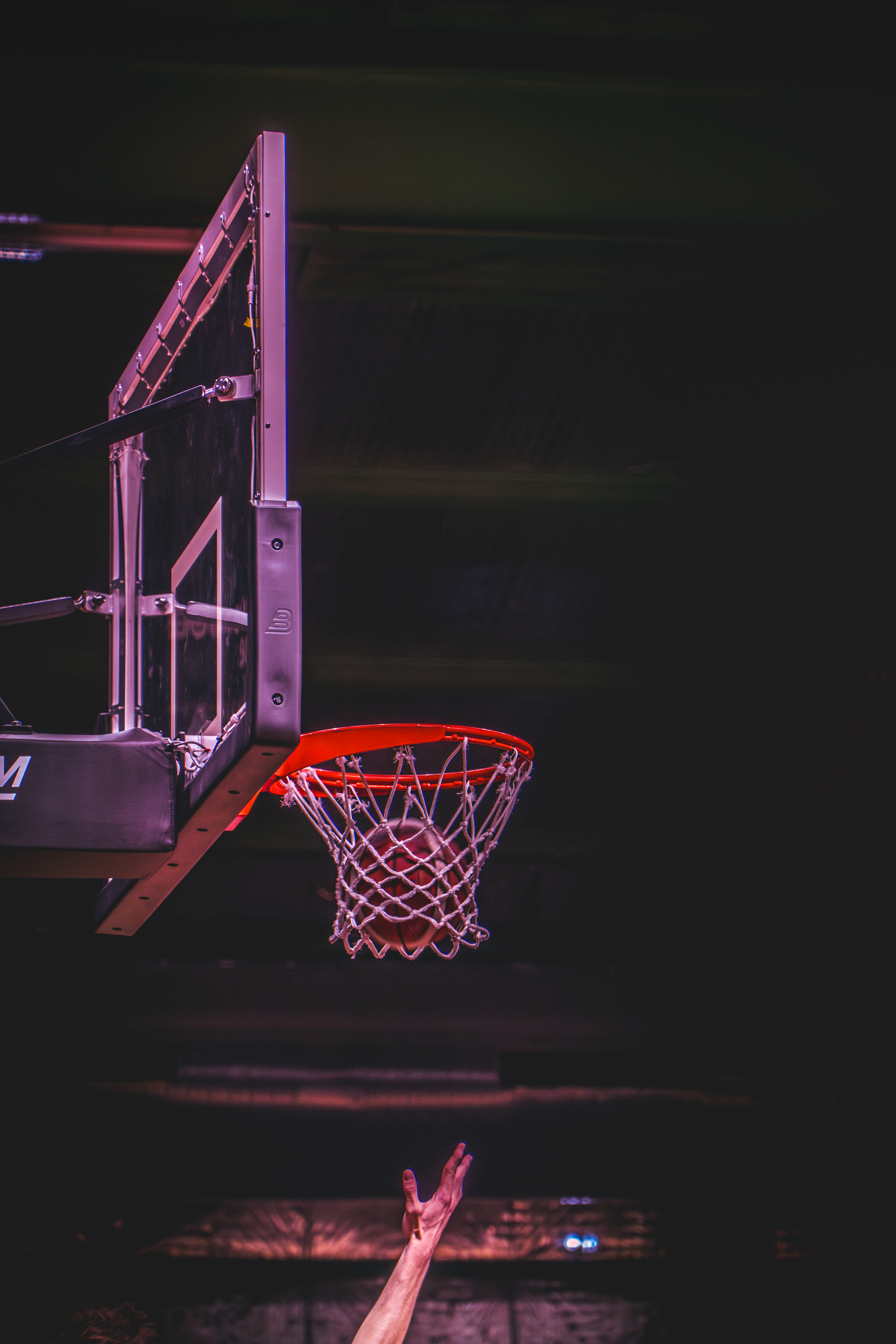 Stade Toulousain Basket