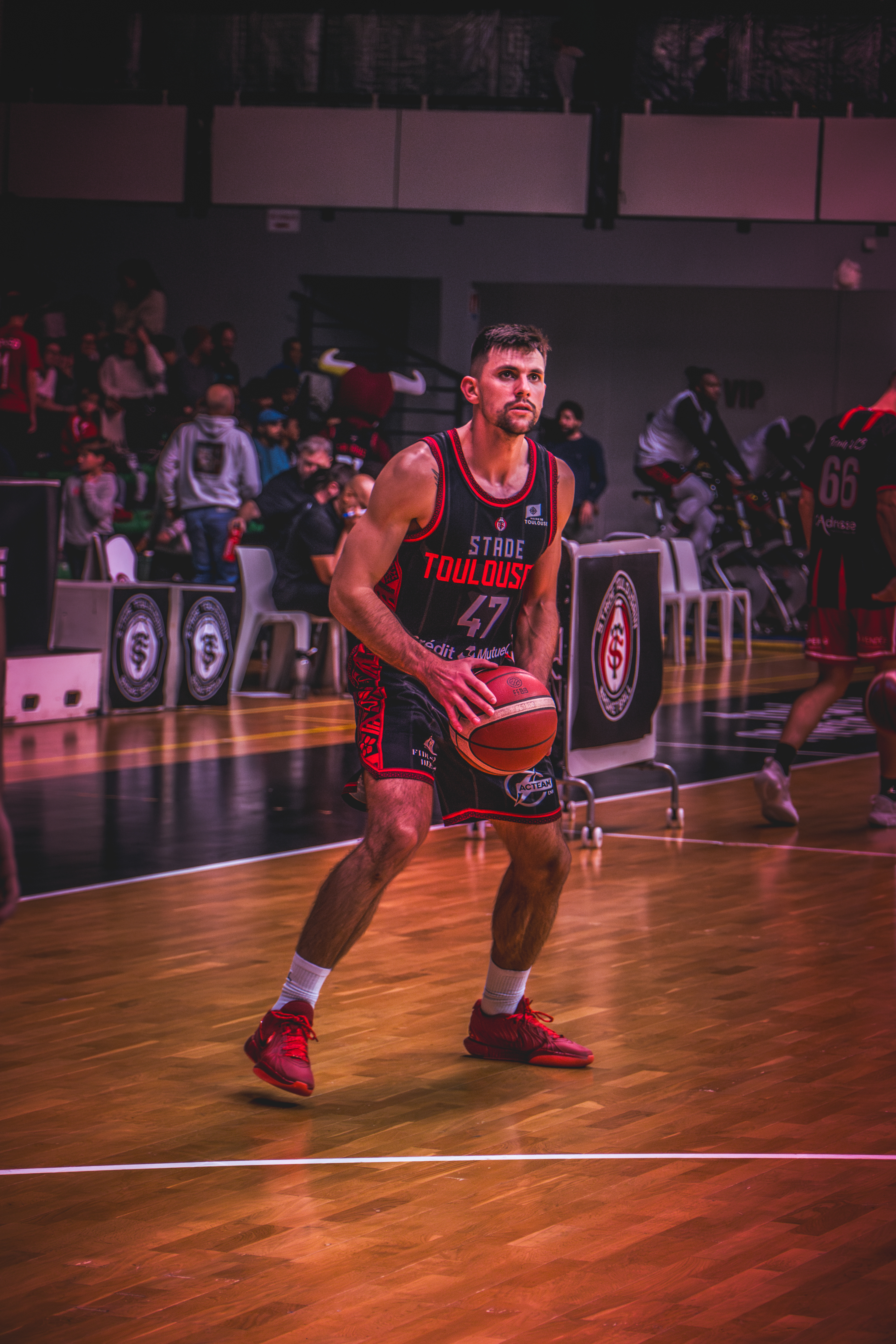 Stade Toulousain Basket