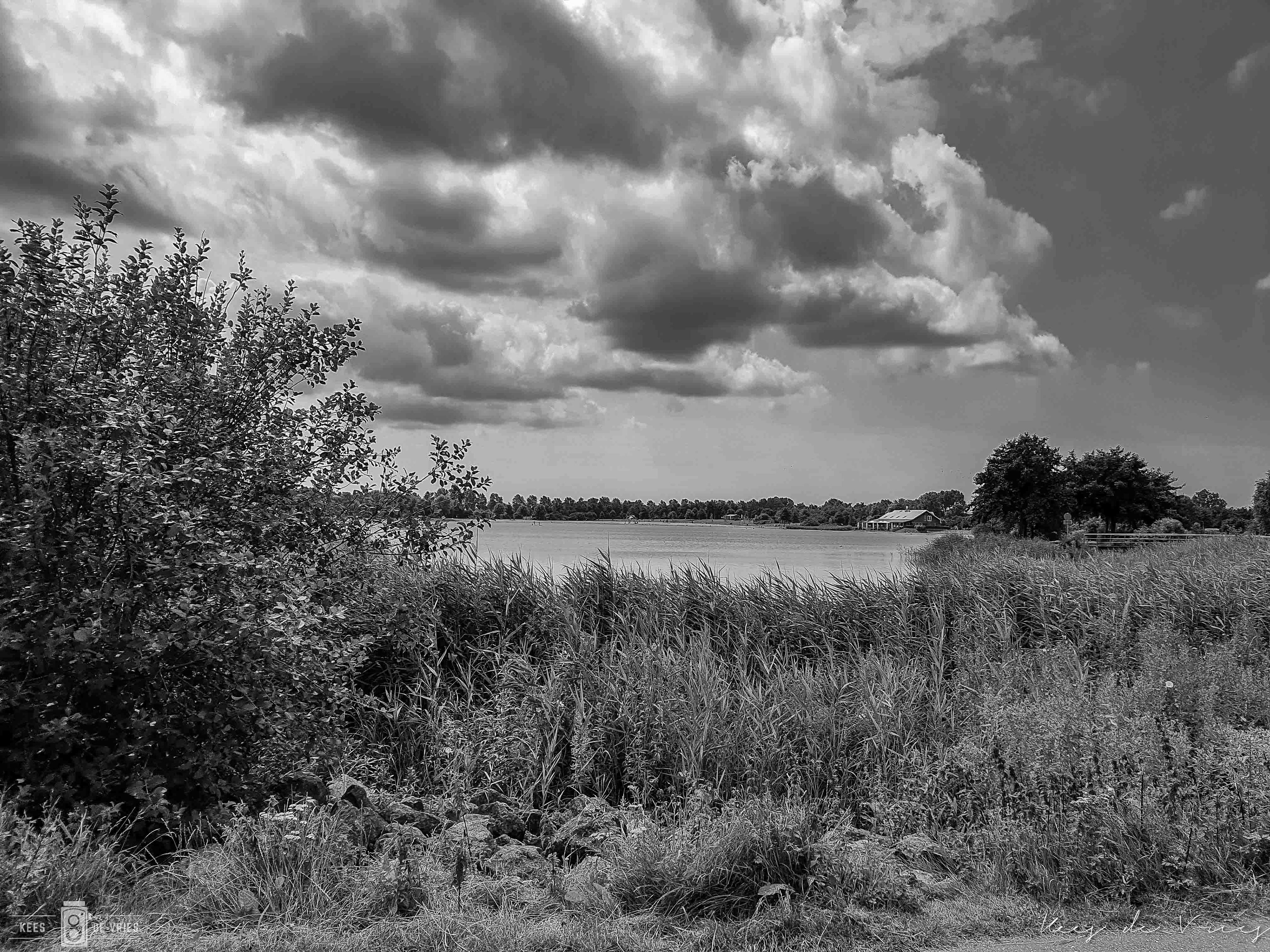 Toolenburger plas