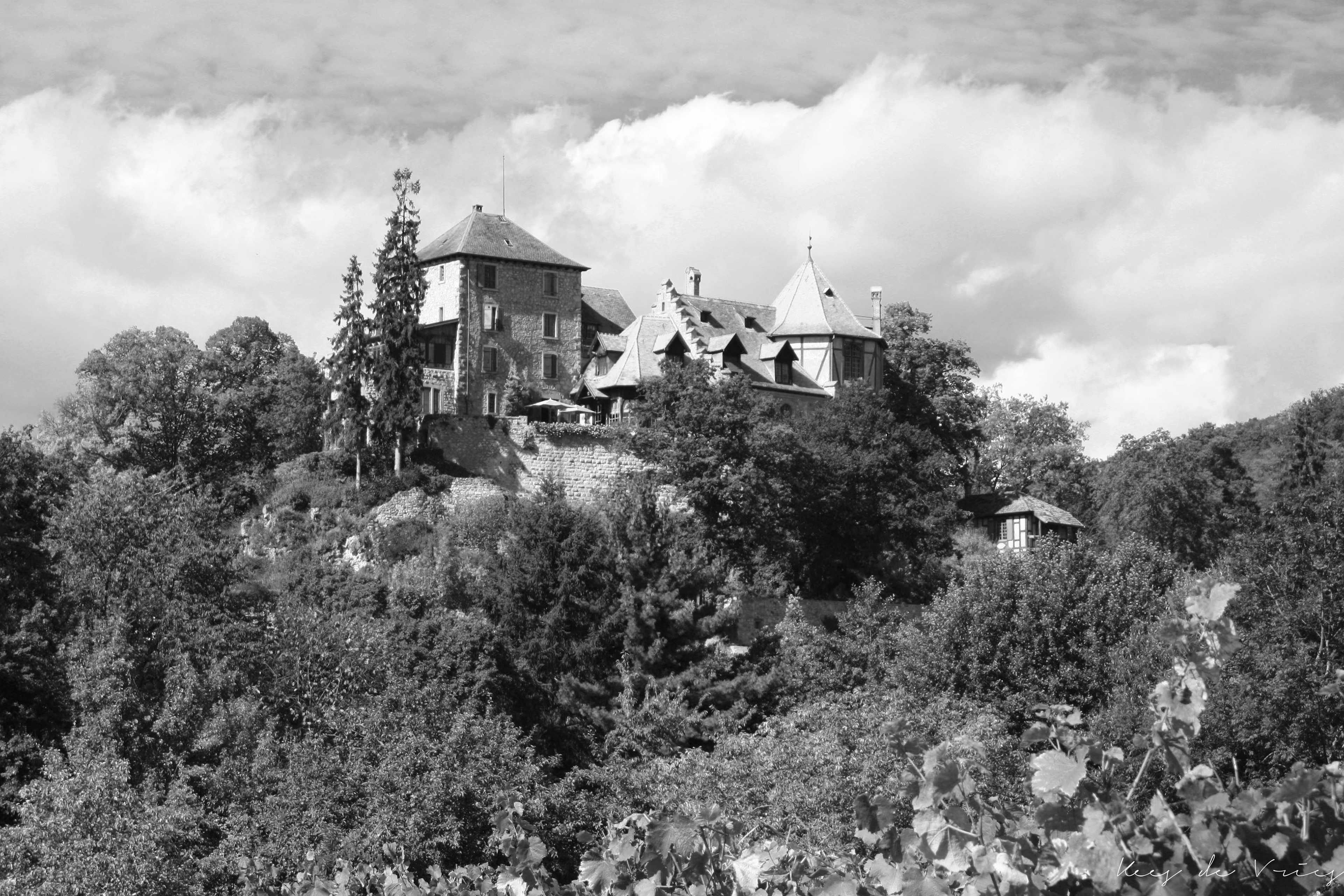 Elzas