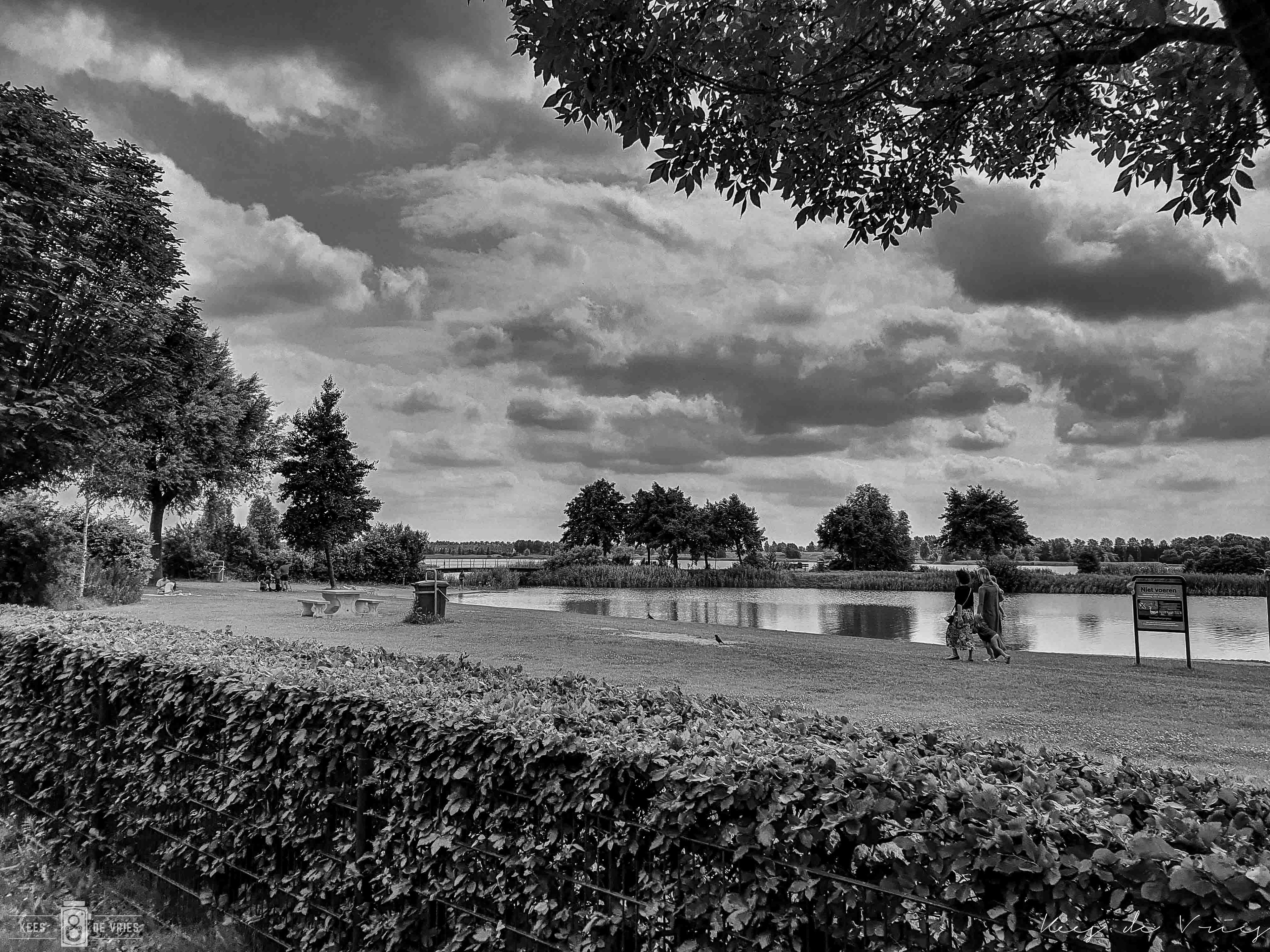 Toolenburger plas