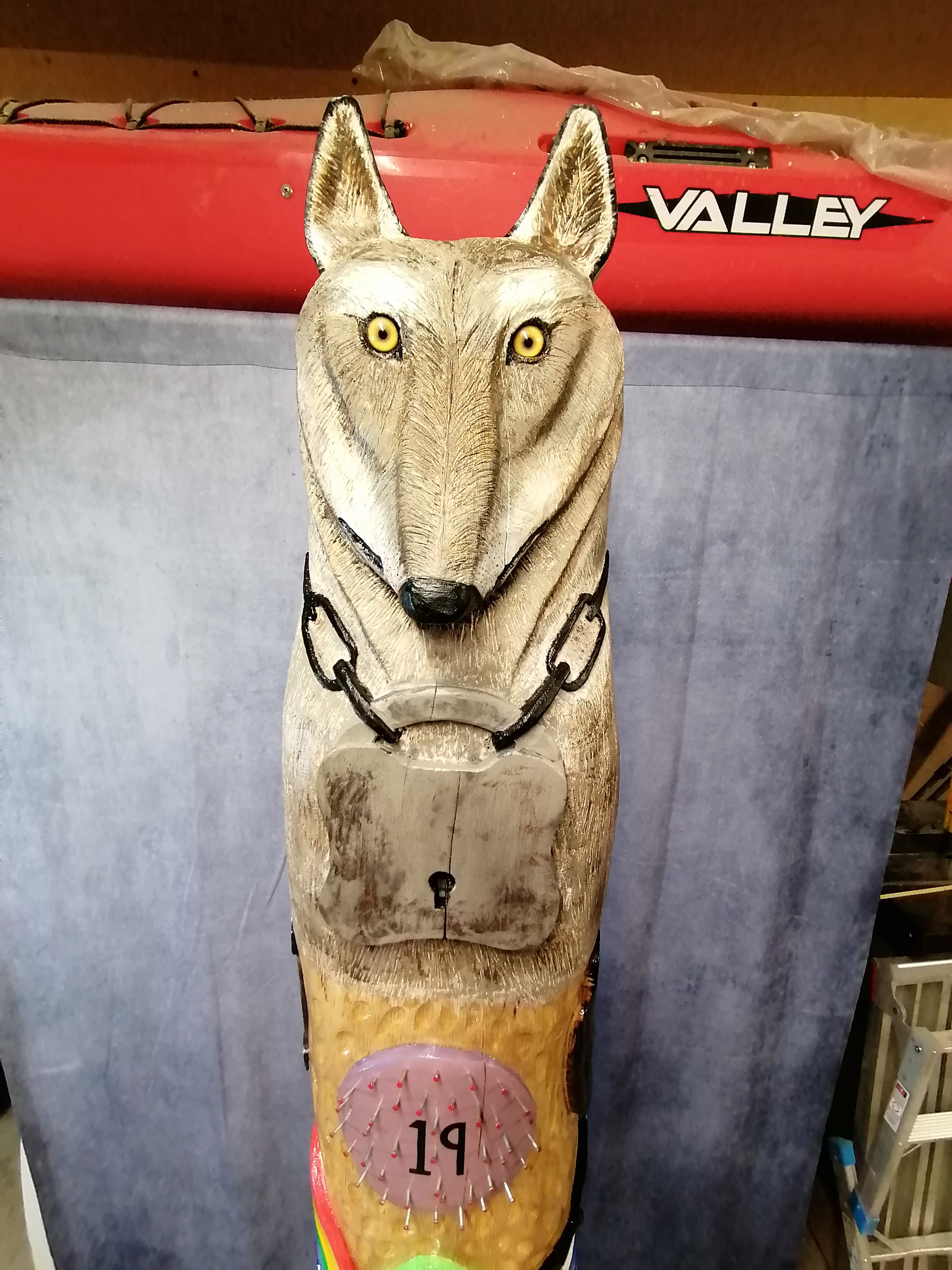 Wolf stands out