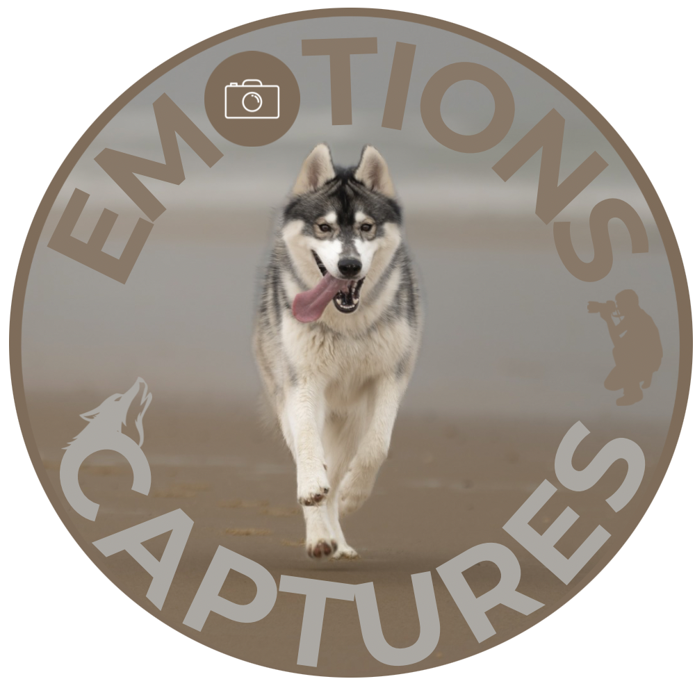 Émotions Captures