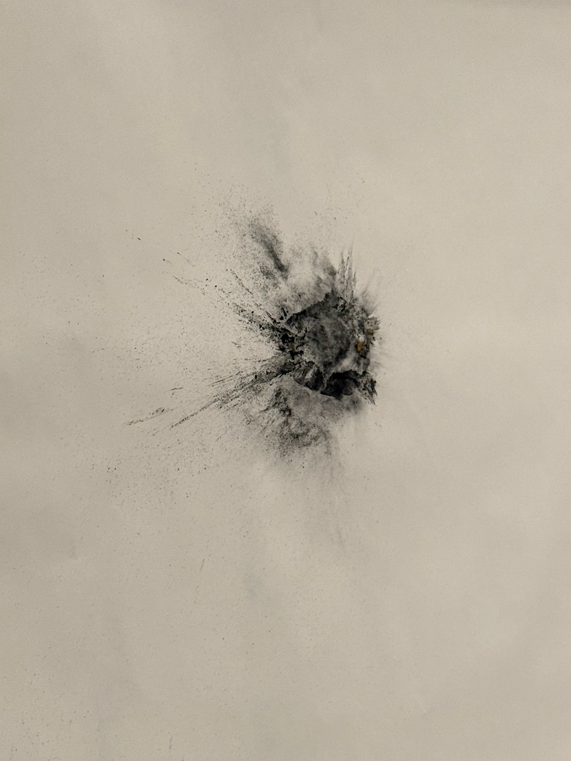 Rotten Apple Covered in Charcoal Smashed onto Paper inWall 